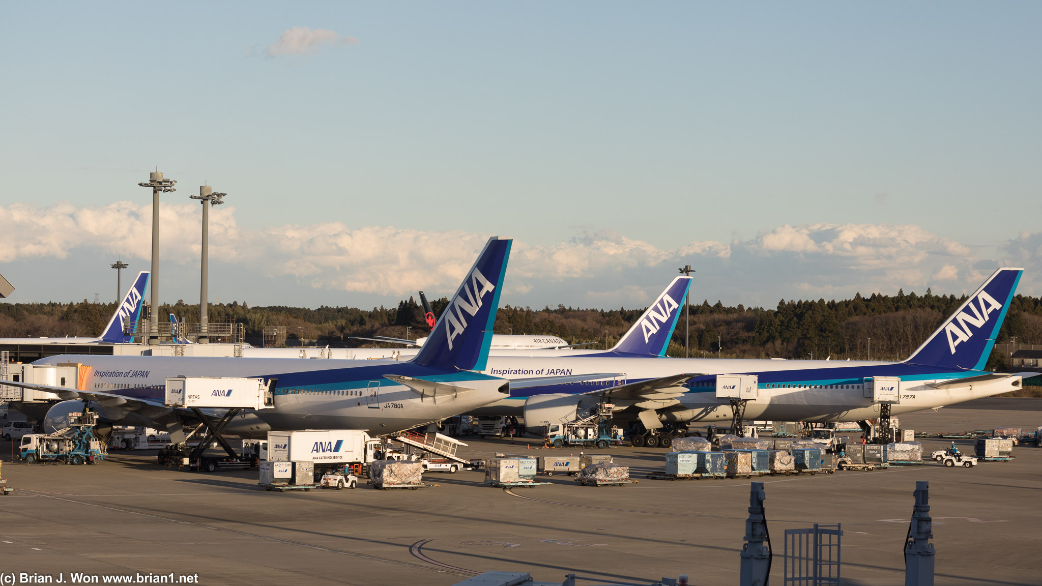 ANA 777-300ER's. With an Air Canada one hiding in the background.