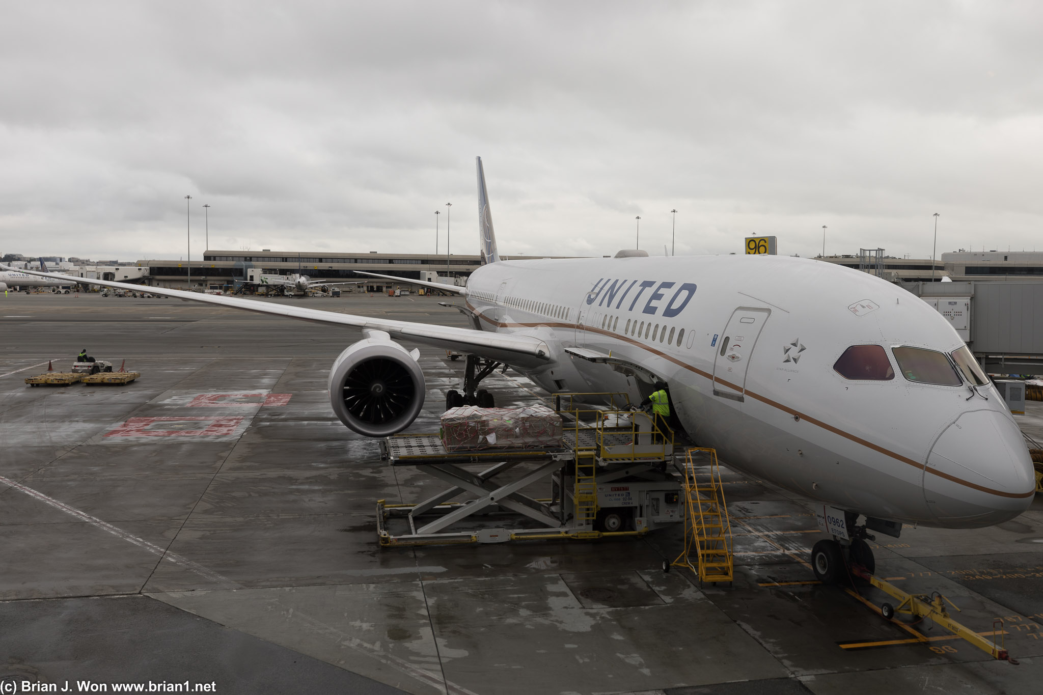 United Airlines Boeing 787-9 Dreamliner #0962, loading cargo for SFO-SIN.