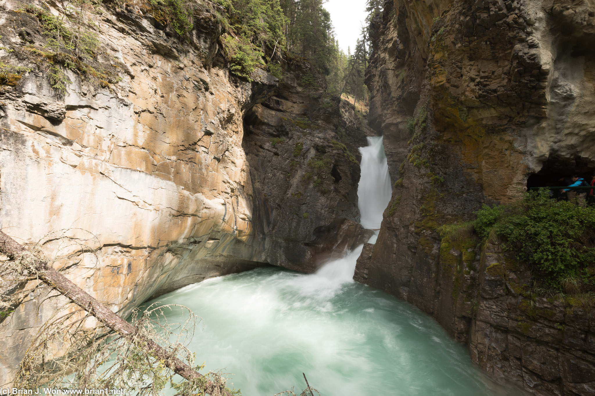 Lower Falls, Johnston Canyon. Note closer viewing access on the right, if you wanted to wait in line.