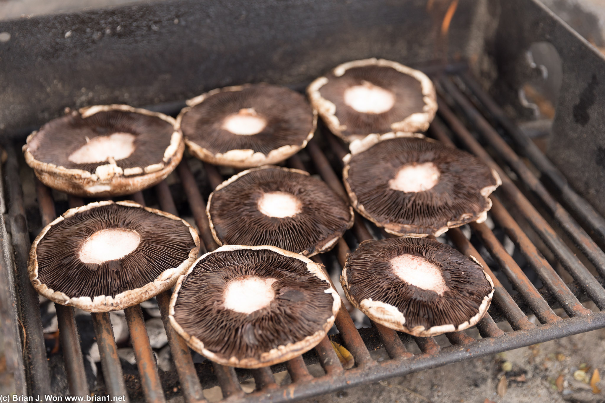 Portabello mushrooms on the grill.