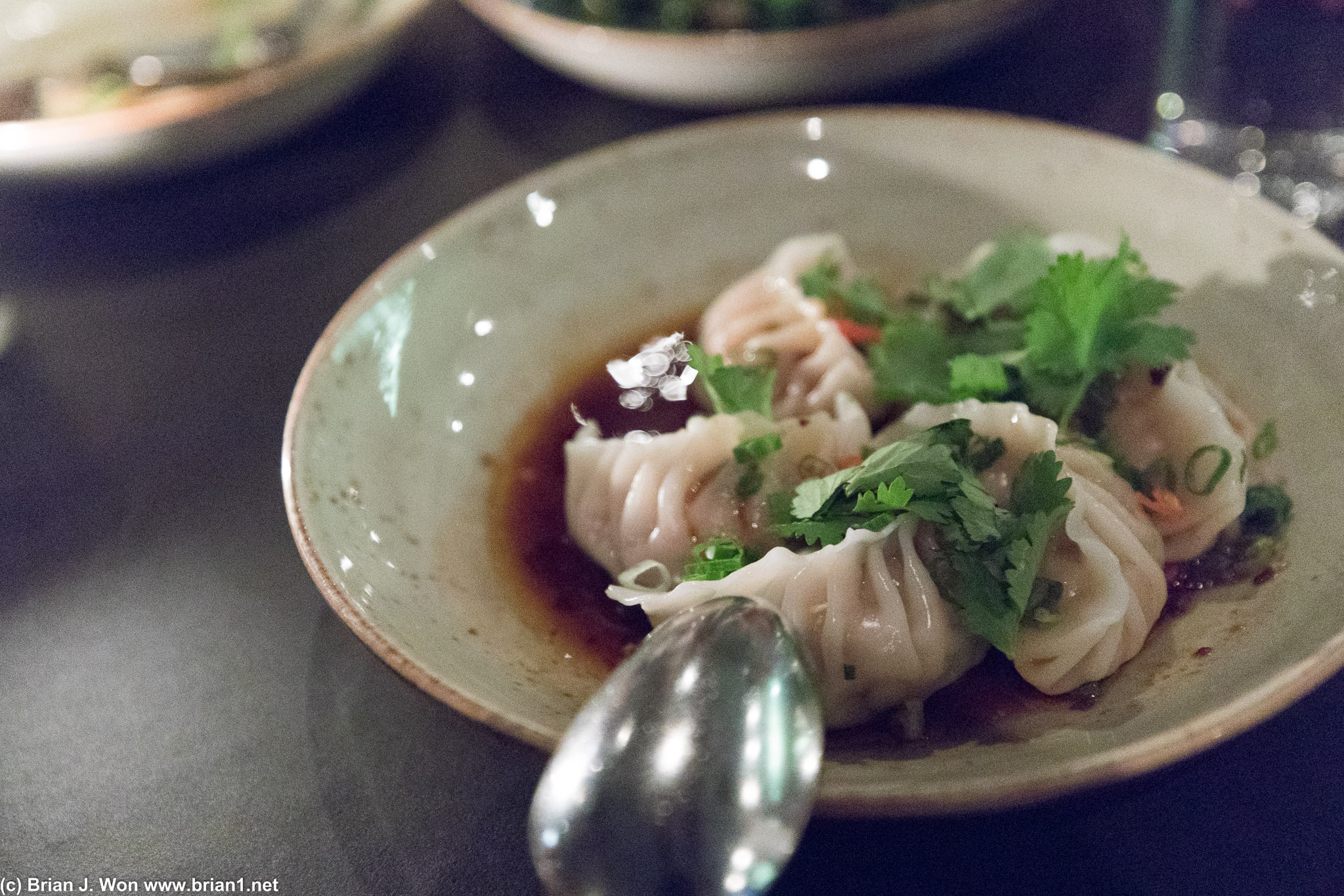 Pork and cabbage dumplings. Could have eaten a few orders of these.