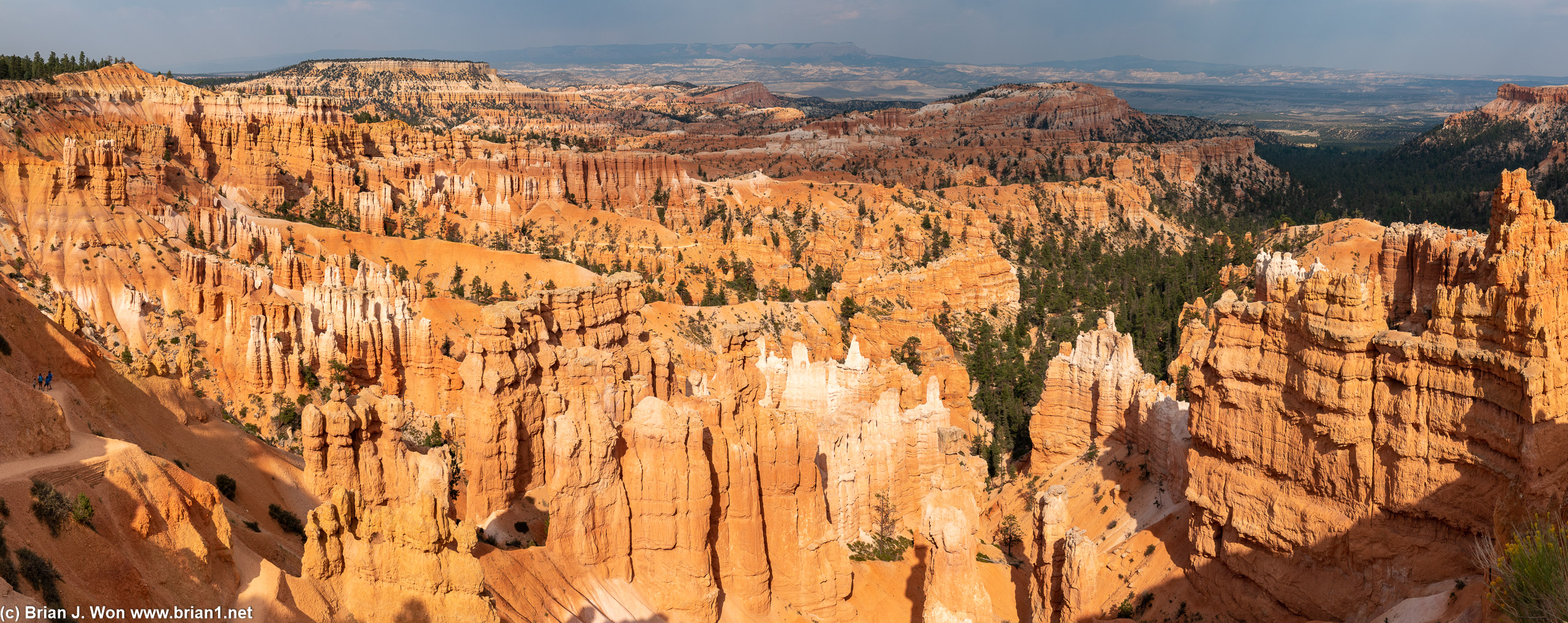 Bryce Canyon Ampitheater shines in the sunlight.