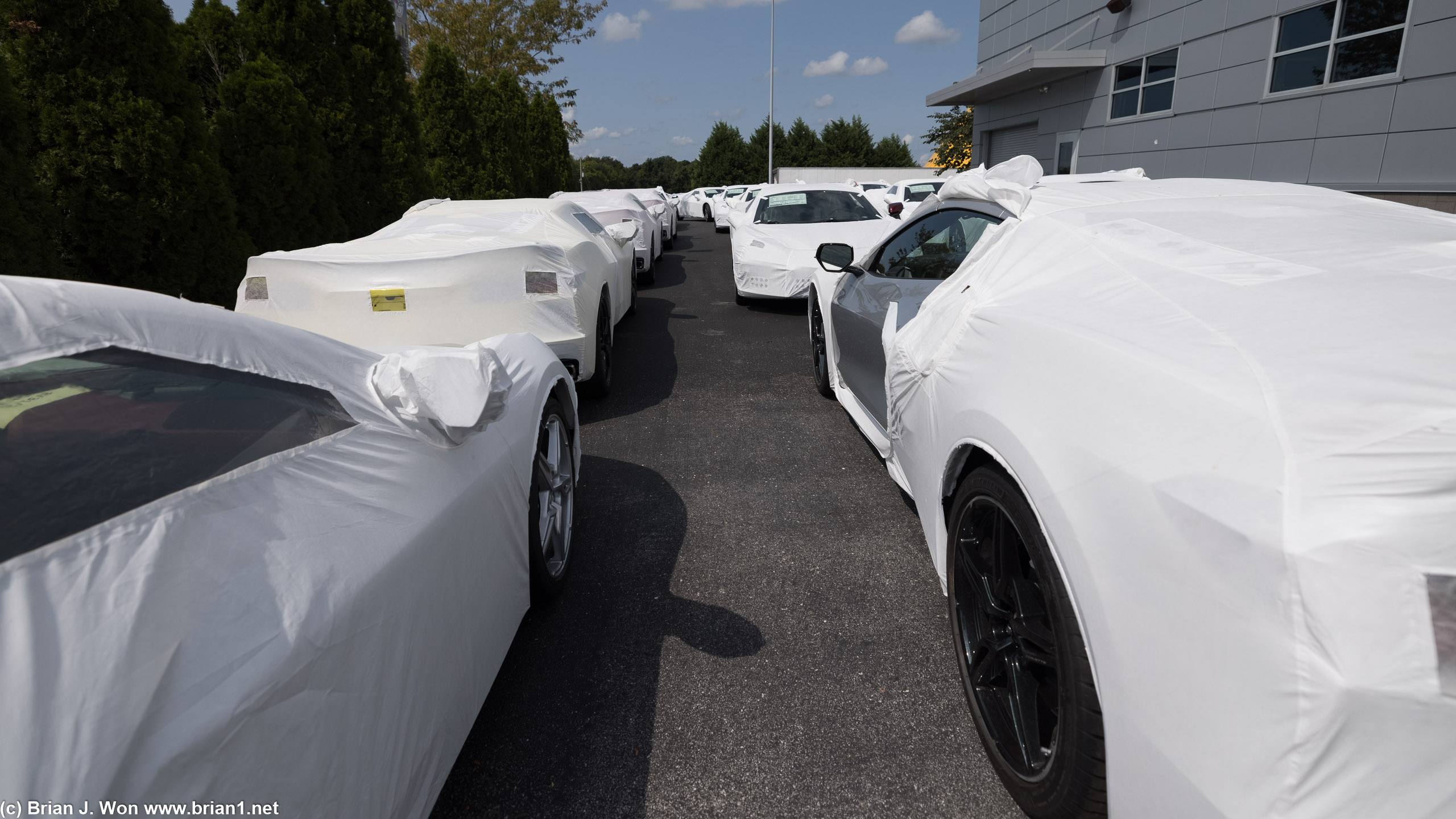 Rows and rows of new C8's.