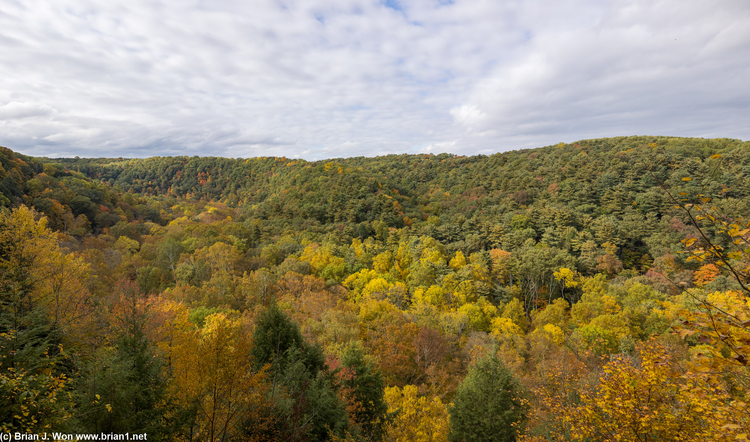 Gorge Overlook at Mohican State Park.