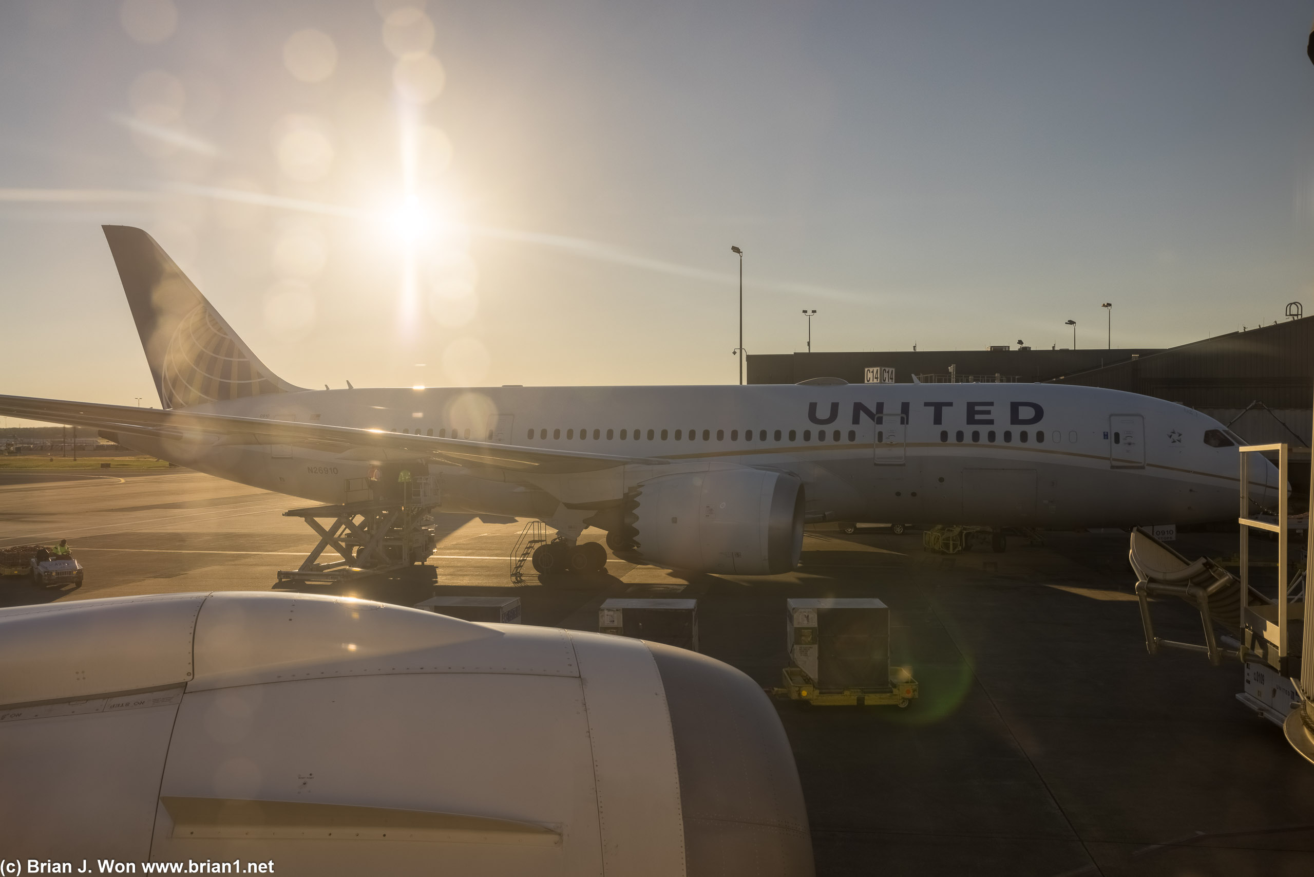 Next to another United 787-8 at IAD.