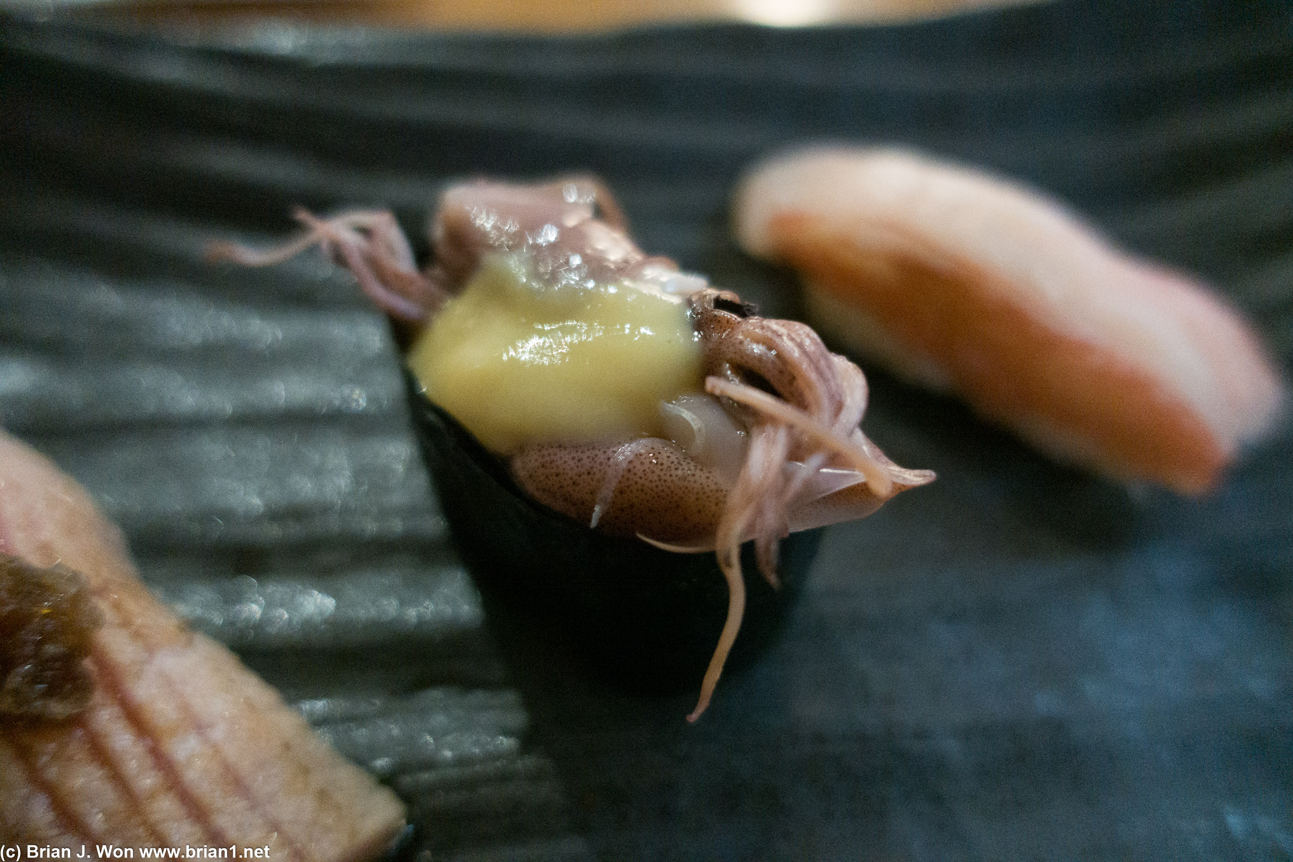 Hotaru ika-- aka firefly squid!