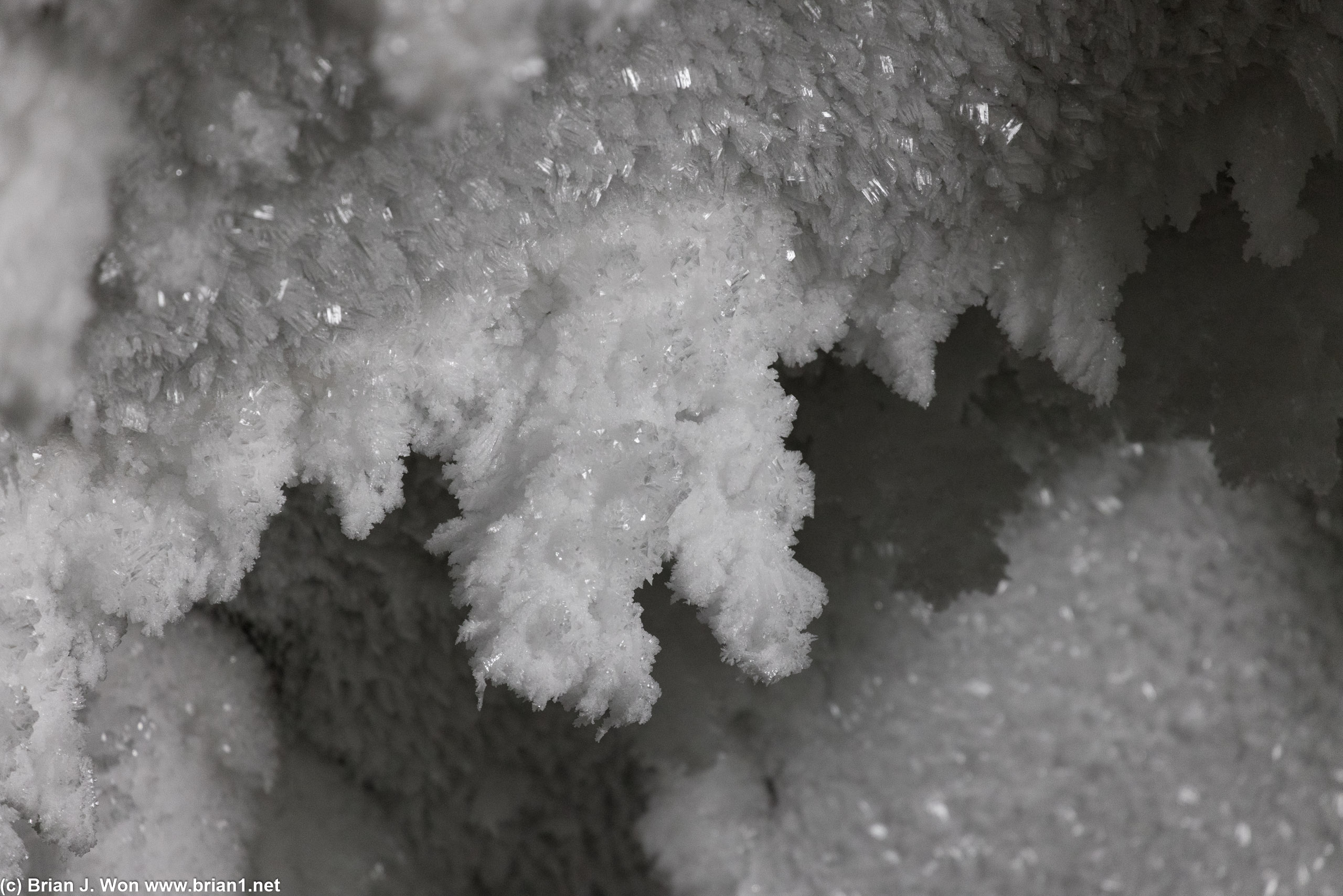 Delicate ice crystals.