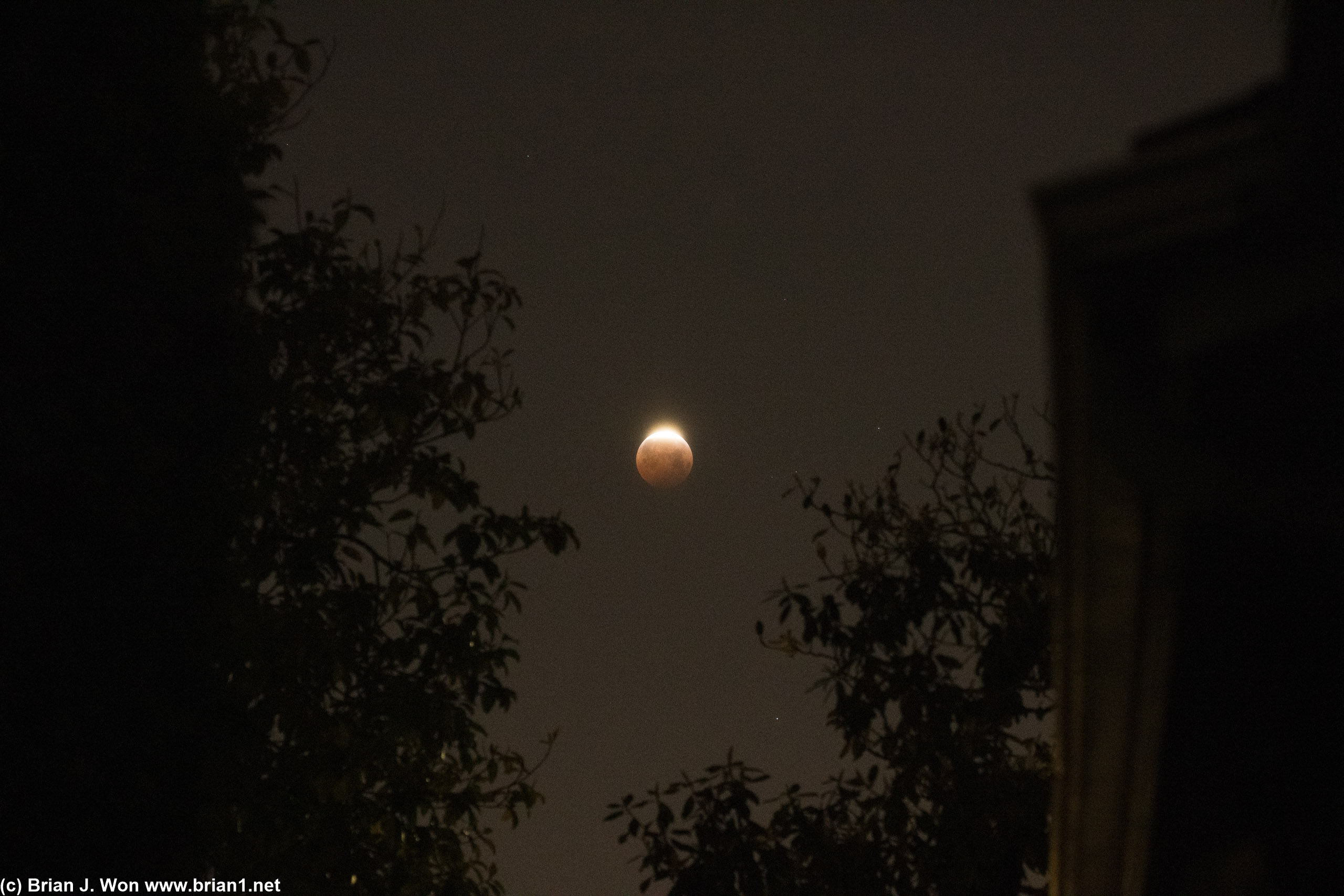 Now deep into the partial lunar eclipse phase.