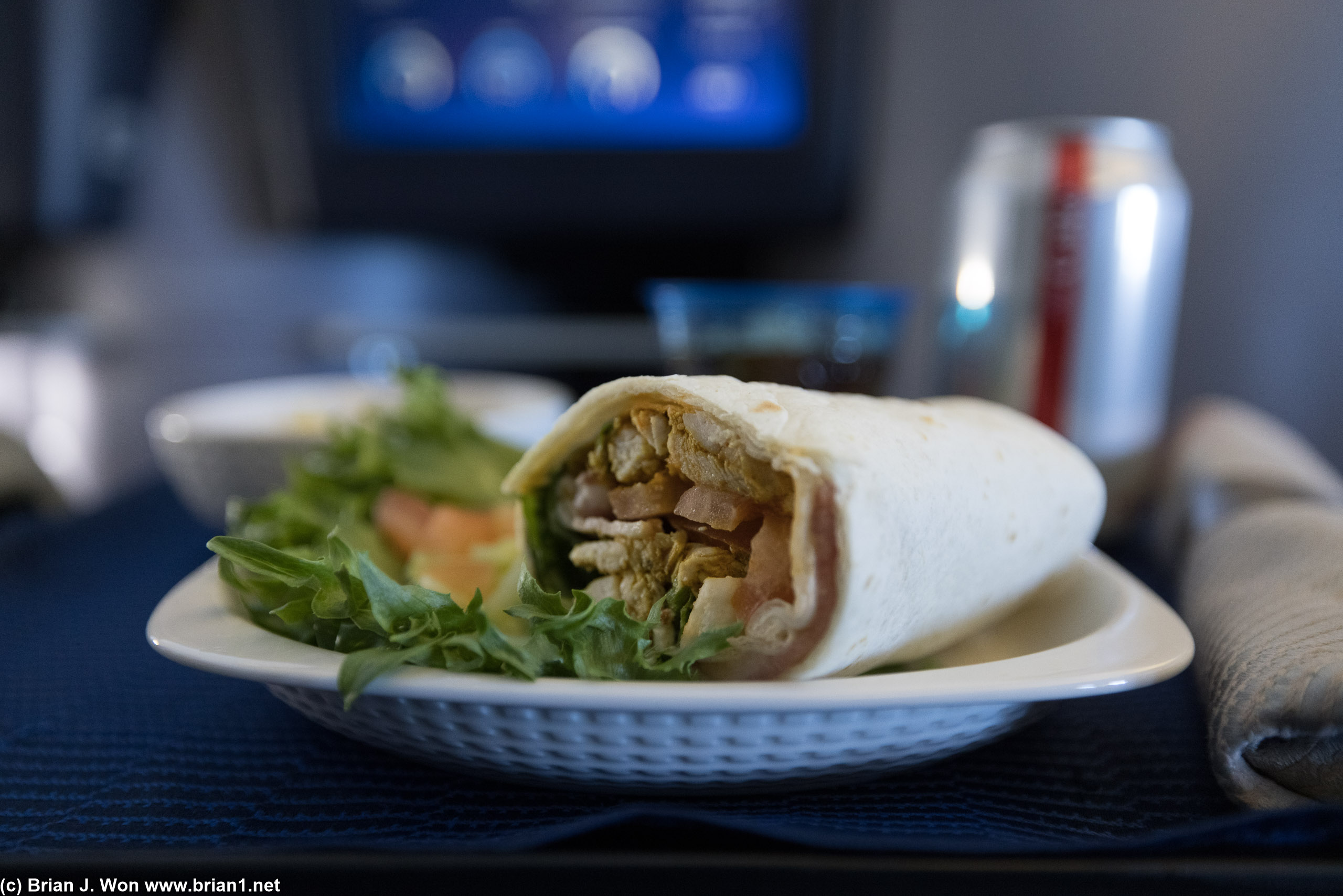 Pre-arrival chicken wrap glamour shot.