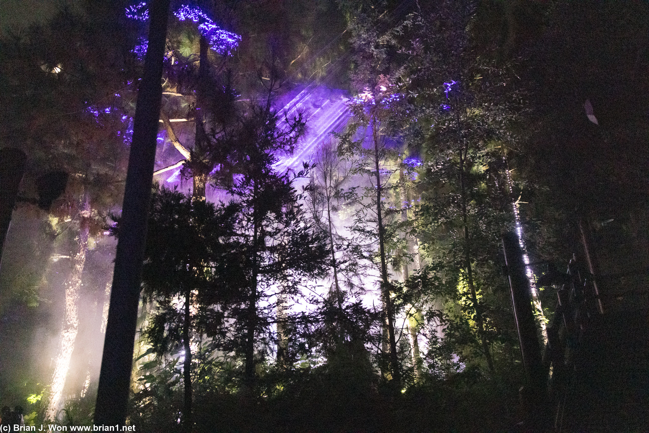 I think this was supposed to be The Wicked Queen''s Lightning Forest.