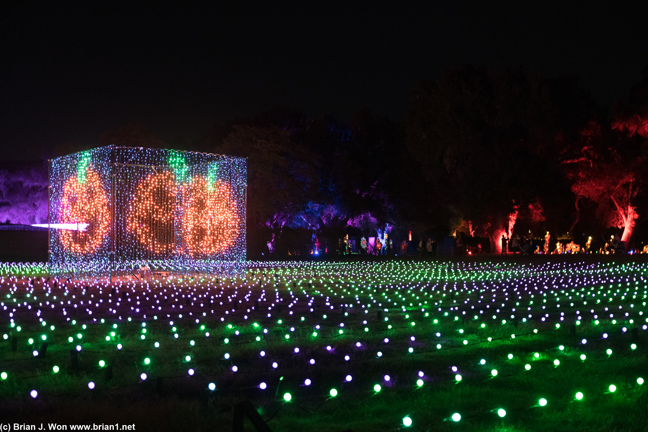 A big lit field. Animated jack-o-lanterns on the light cube.