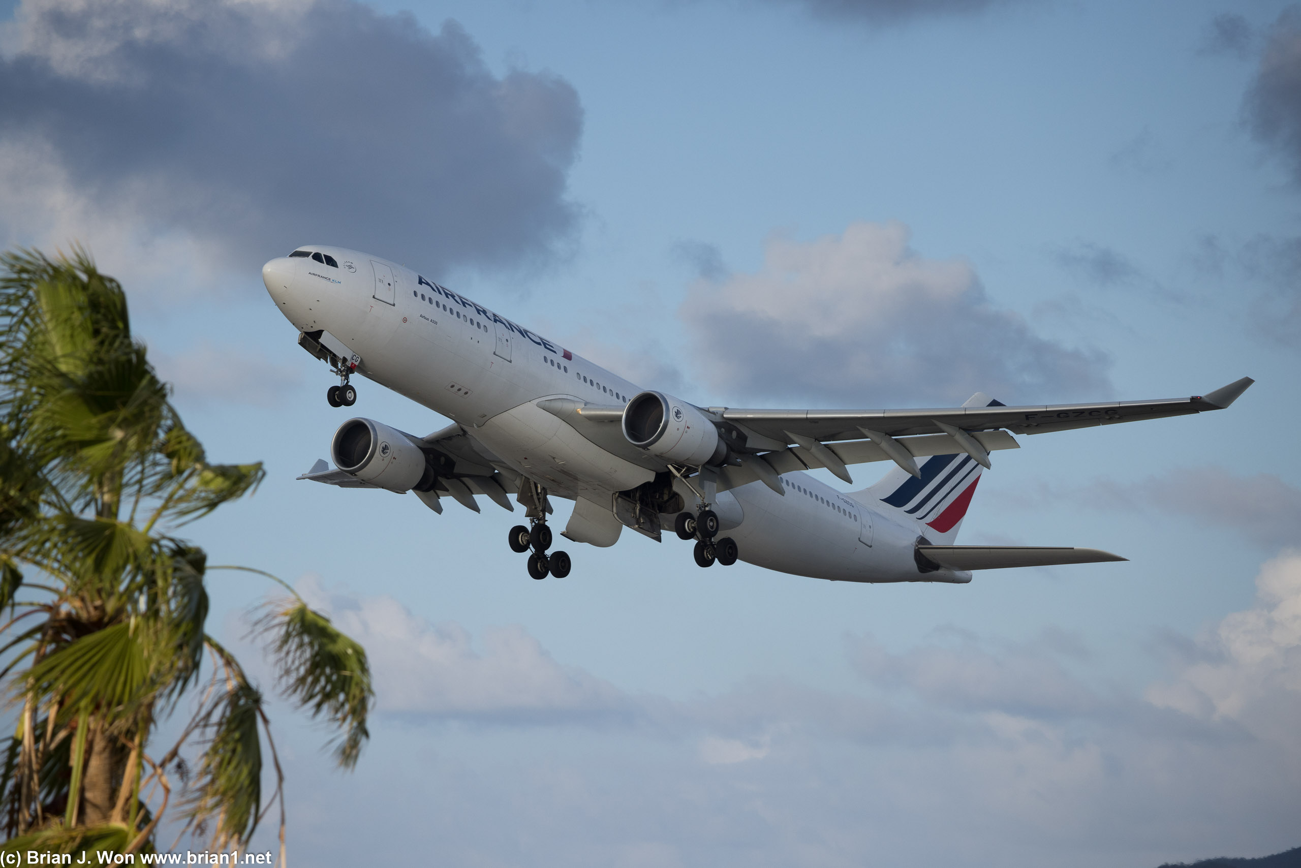 Palm trees and wide-body airplanes, how can you go wrong?