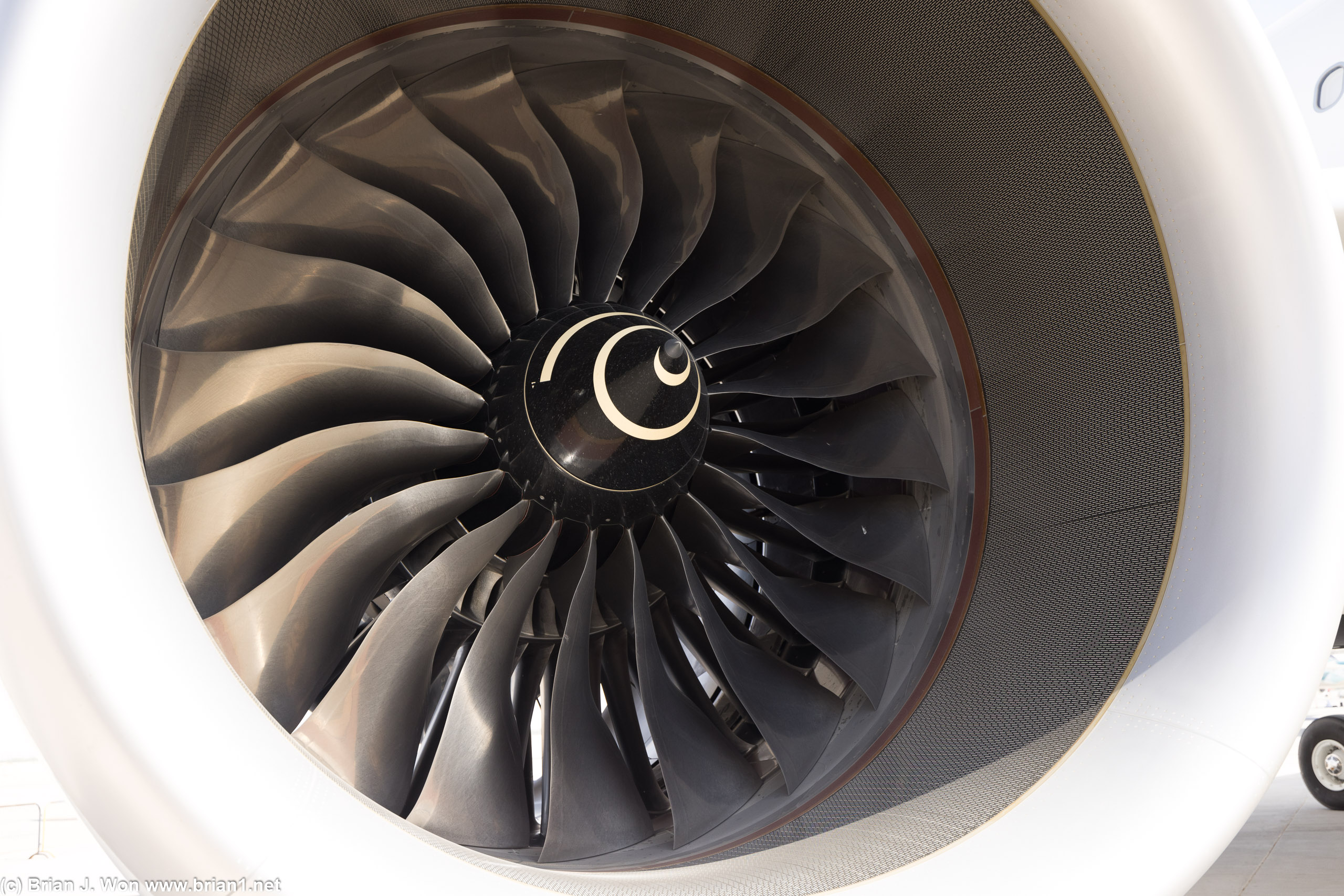 Rolls-Royce Trent 7000 on an Airbus A330-800neo.
