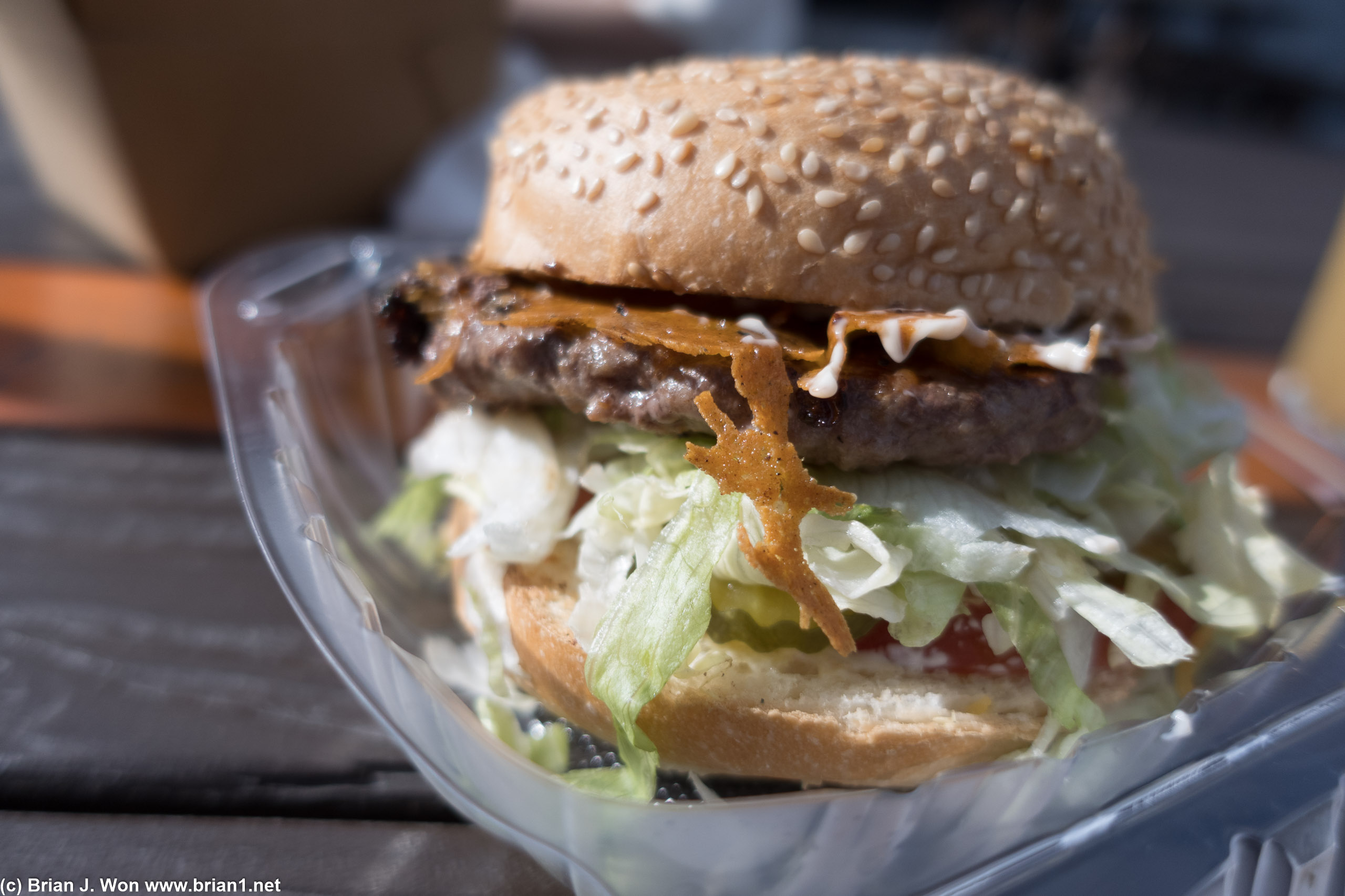 Bison Burger truck's burger wasn't bad.