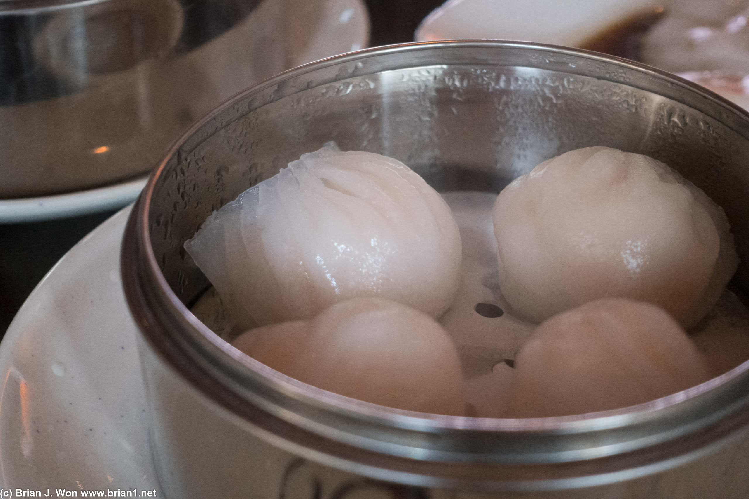 Har gow had right number of folds and skins almost clear enough but not quite.