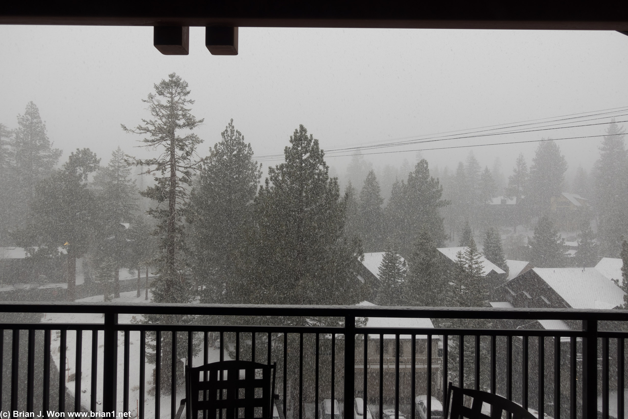Snowing all day-- getting even heavier if anything at 5:30pm.