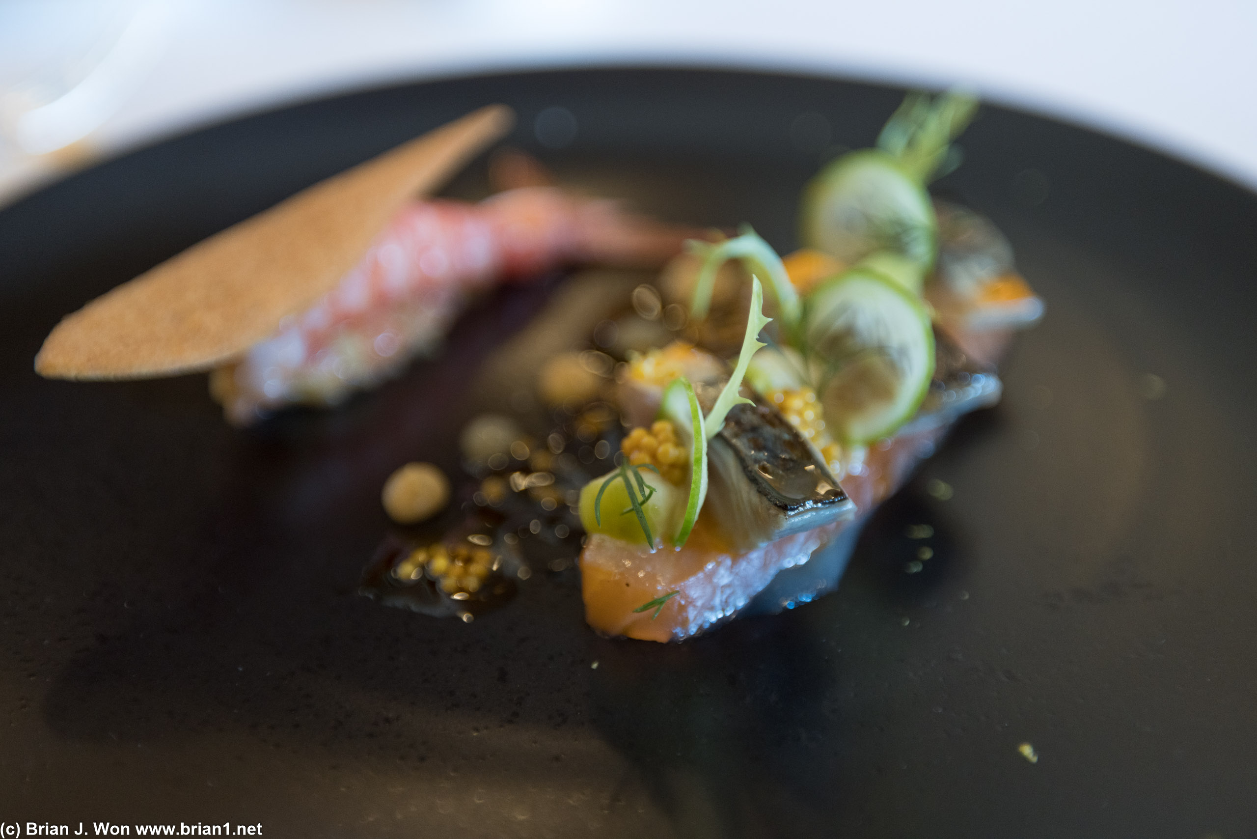 Half-cooked gambero rosso (shrimp) with pickled mustard seed, back of salmon gravlax with citrus marinated mackerel.