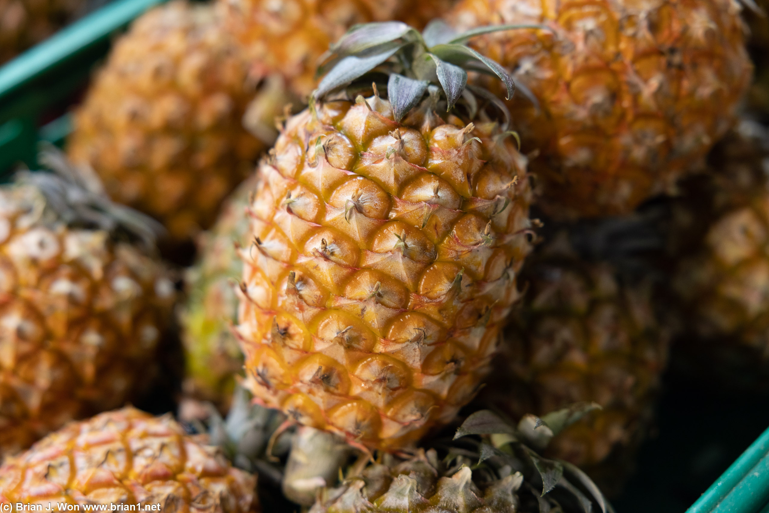 Azores pineapples at the farmers' market.