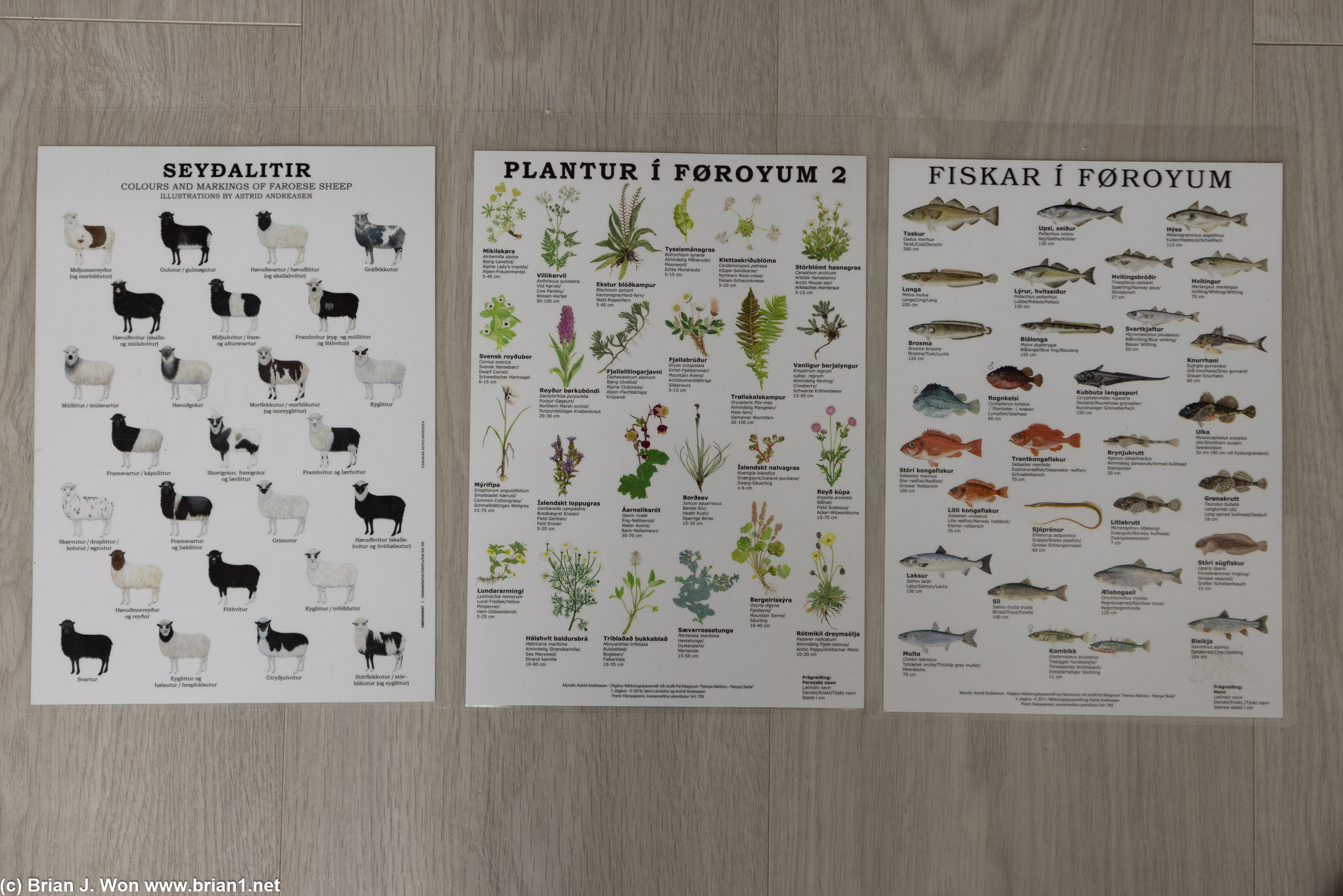 Plant and animal info.