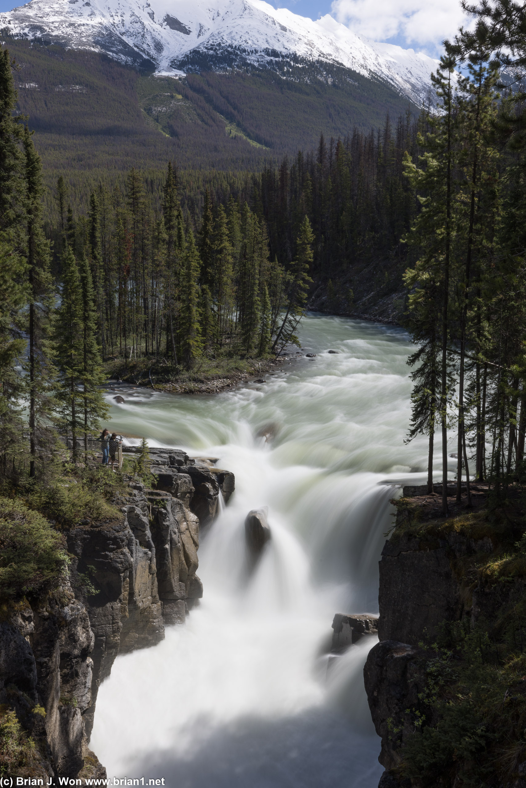 Still not able to figure out the classic angle of Sunwapta Falls.