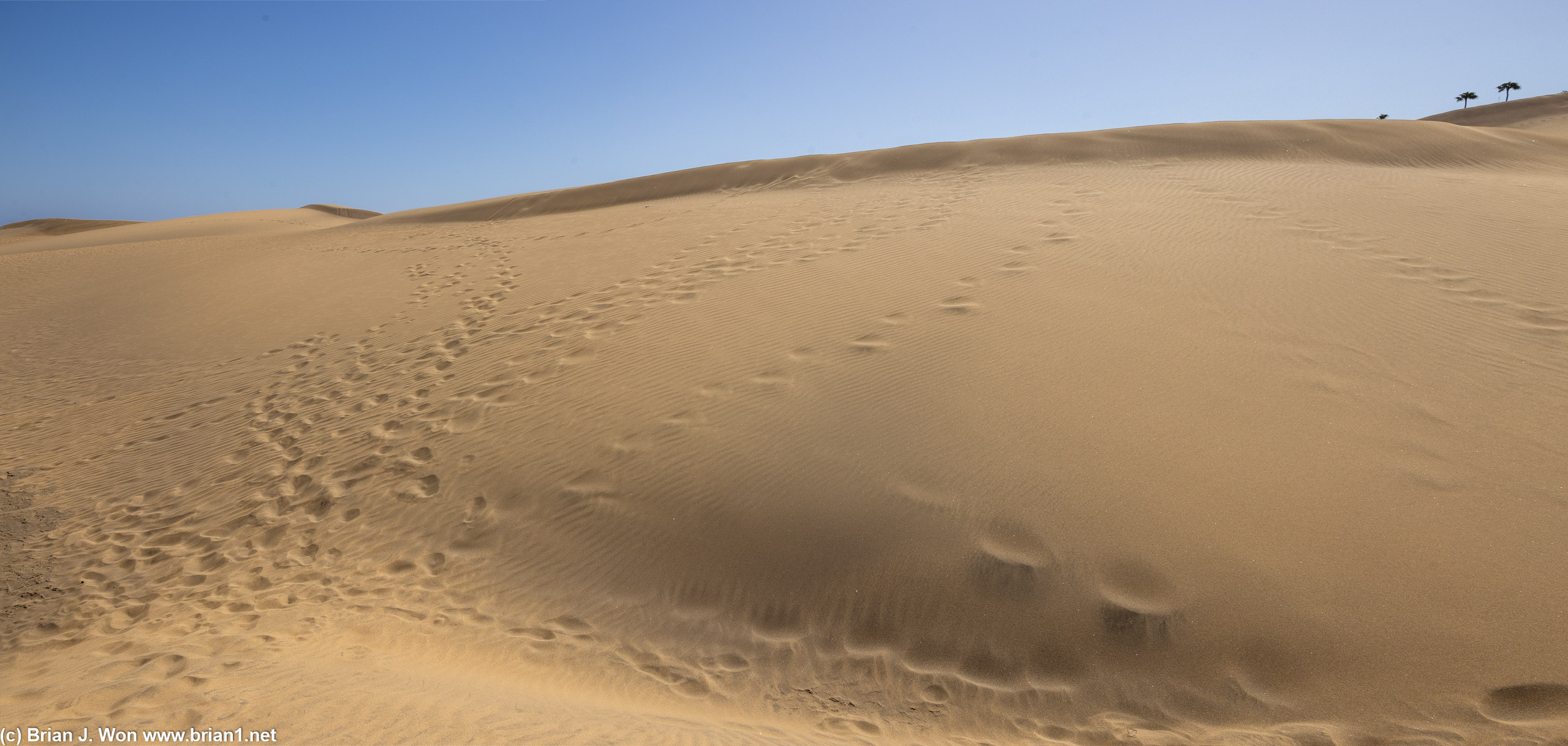 The sand dunes of Las Dunas de Maspalomas.