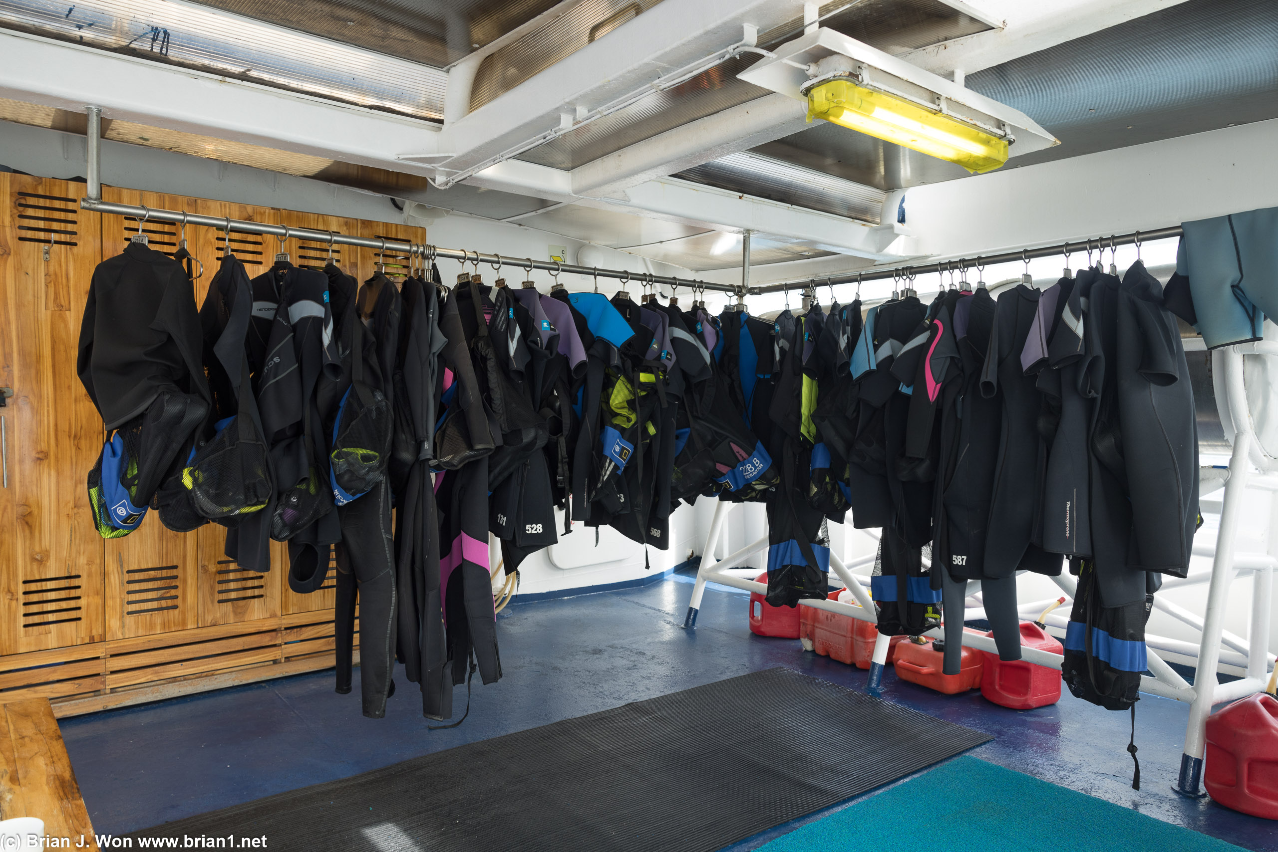 Wetsuits hanging to dry, the shorties are complimentary onboard.