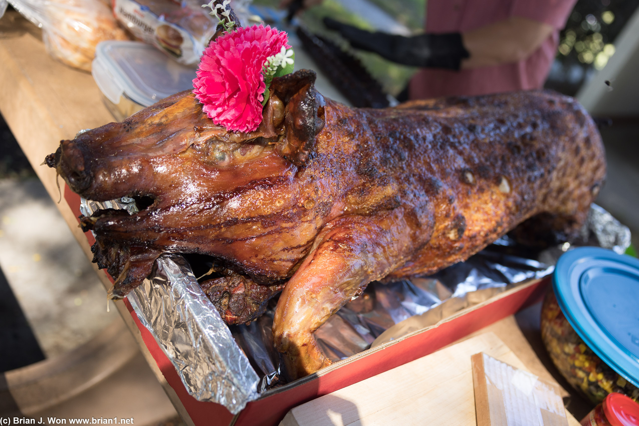 Whole roast pig from Hao Vi BBQ.