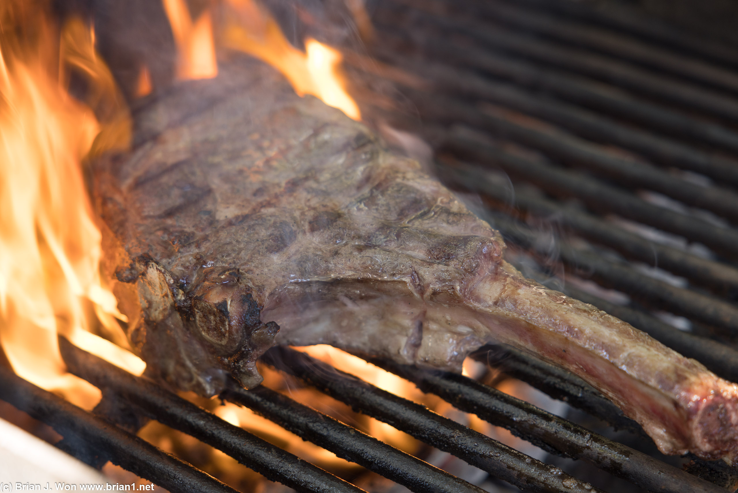 Joe's turn on the grill.