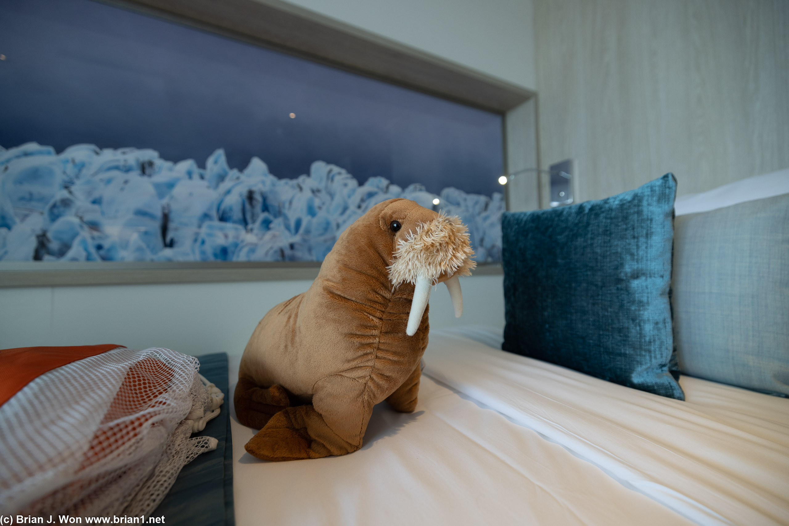 Not sure why all the cabins got a stuffed walrus.