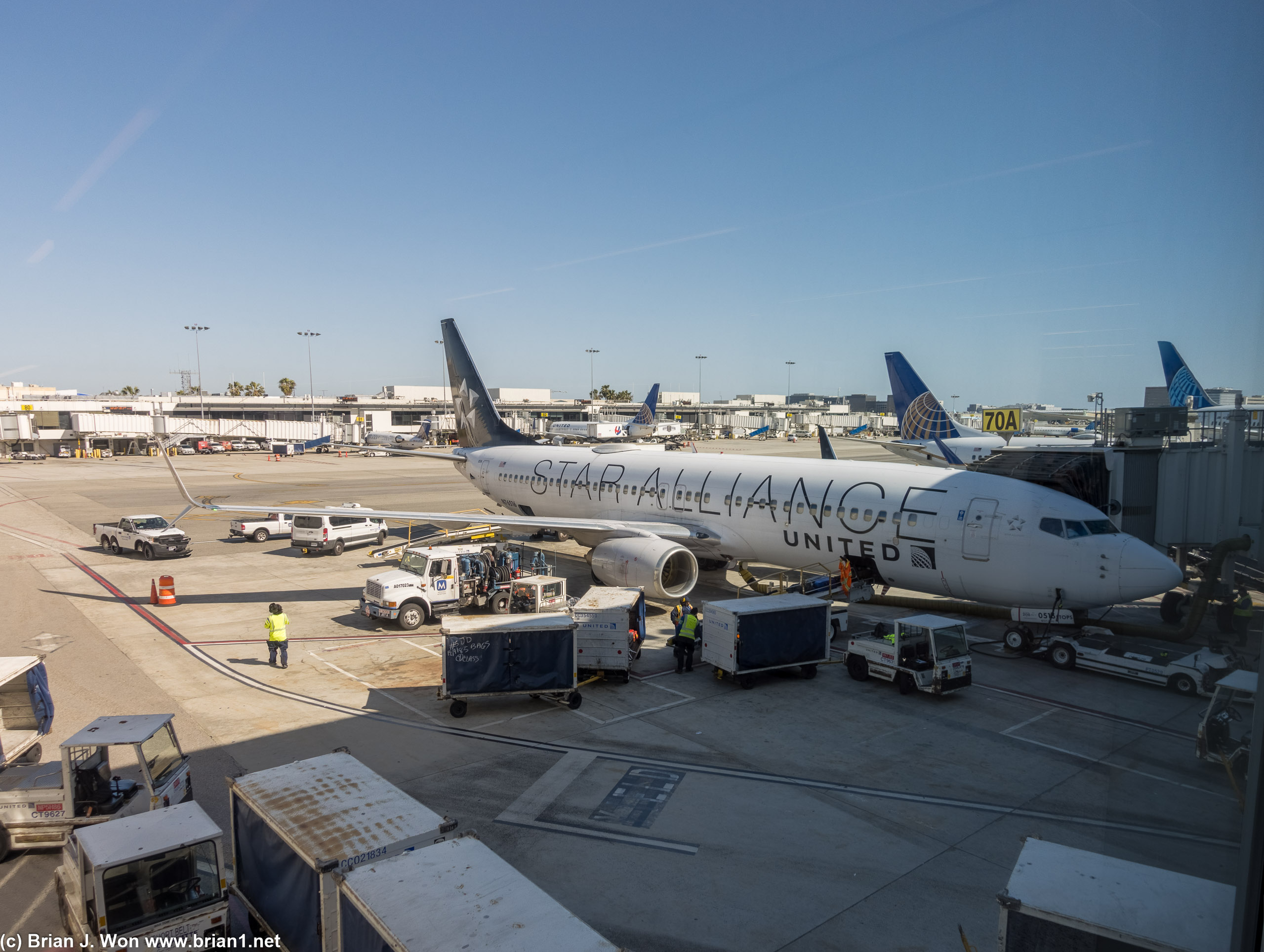 Star Alliance livery on a United 737-800.