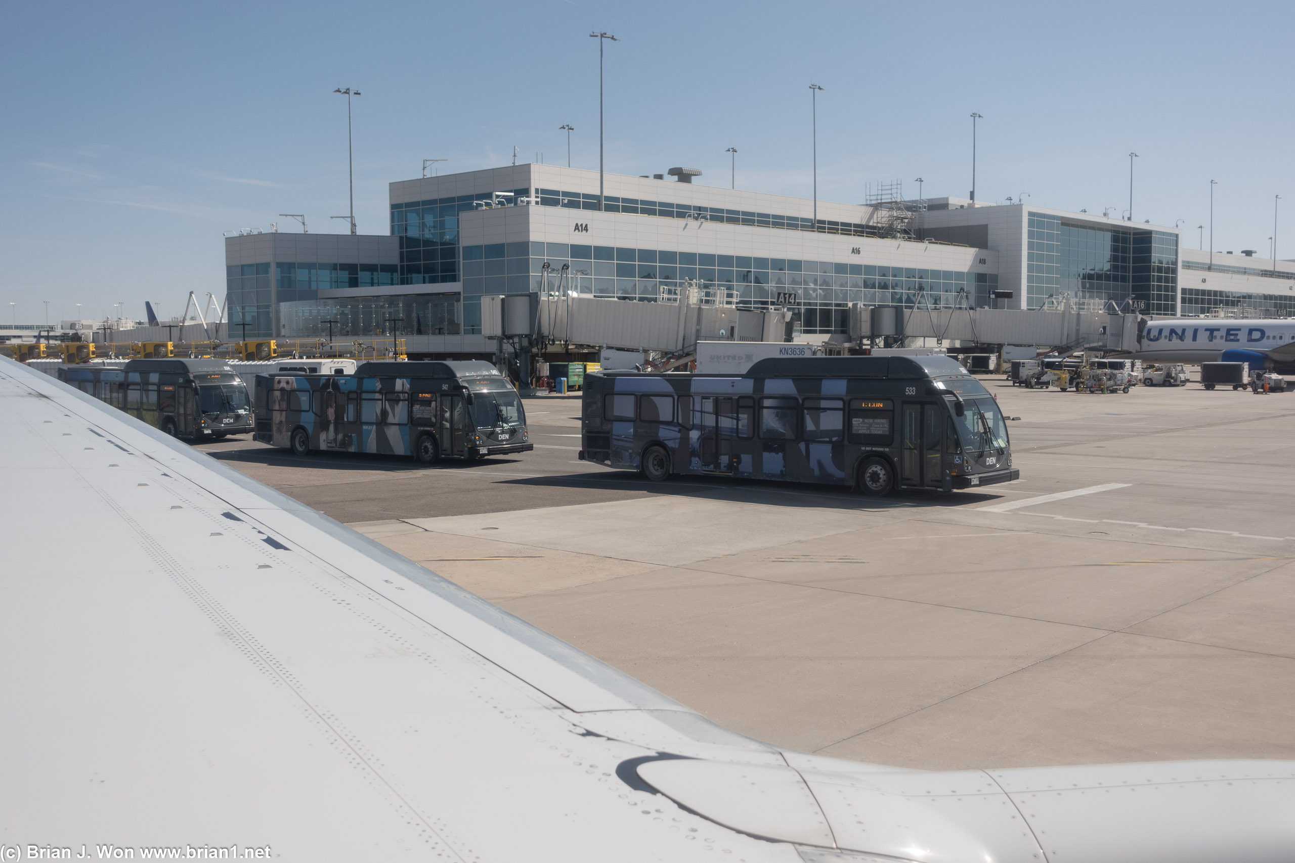 Buses connecting the terminals in addition to the train.