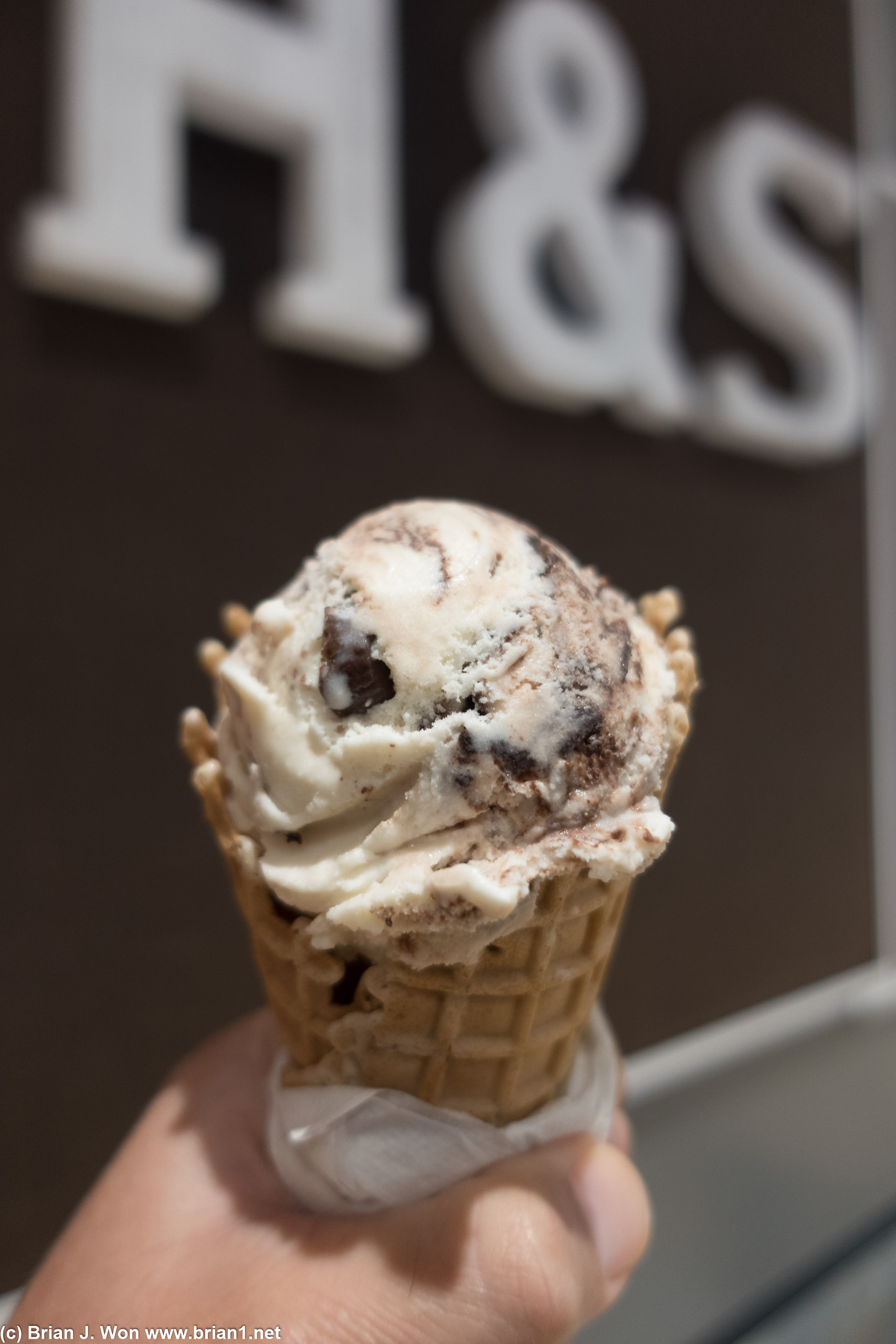 Chocolate chip in a waffle cone.