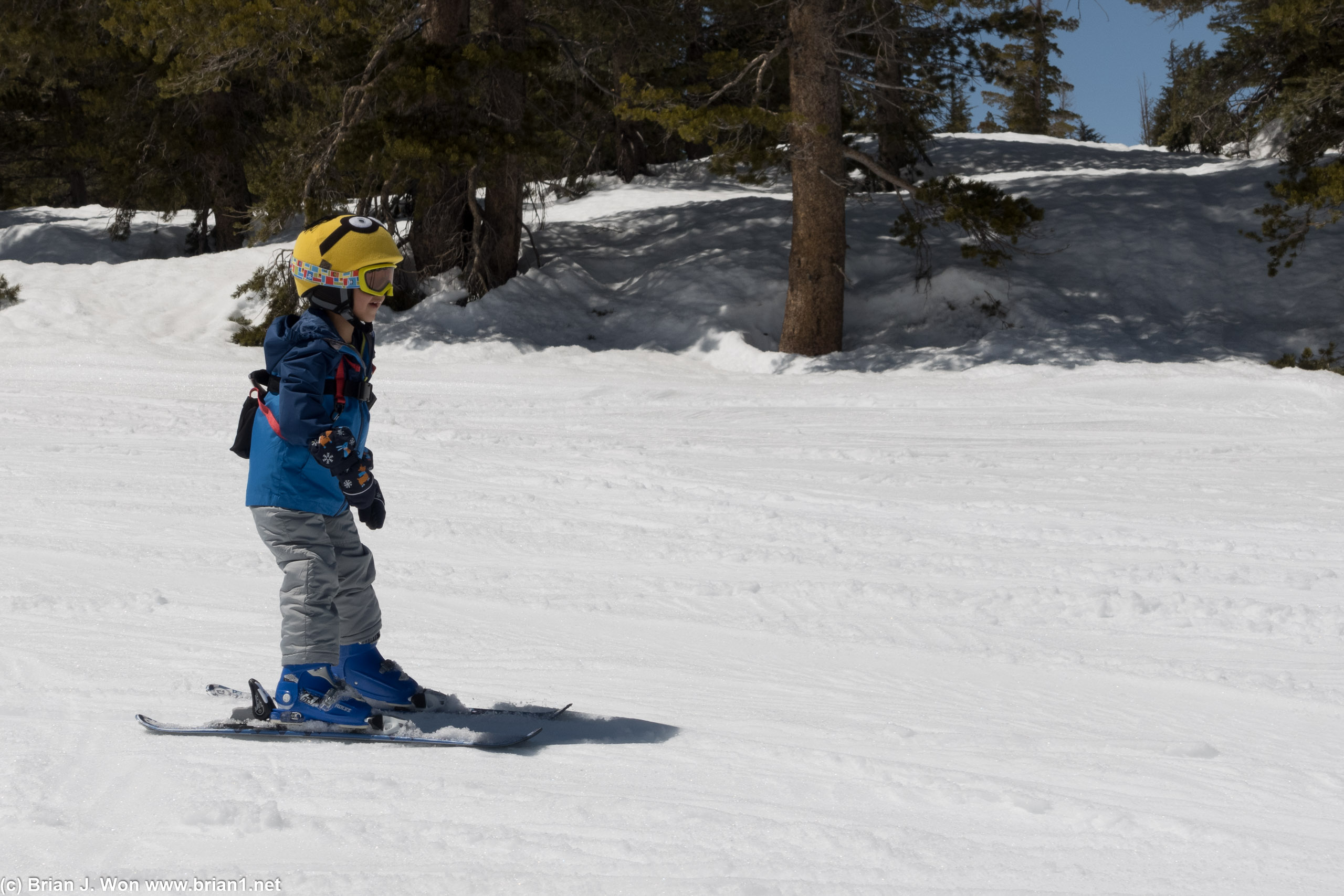 Lucas skiing on his own.