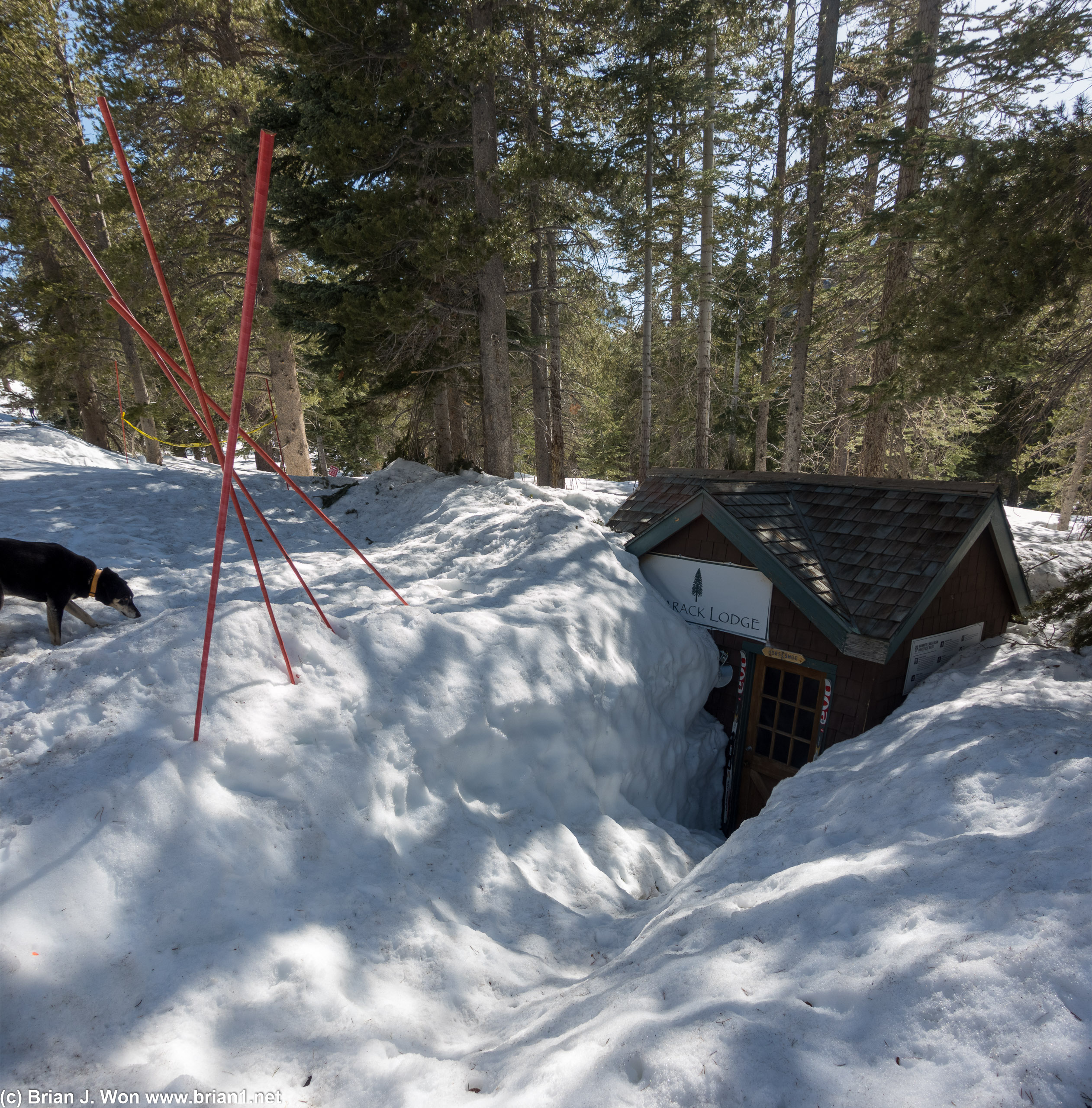 Tamarack Lodge is very buried.