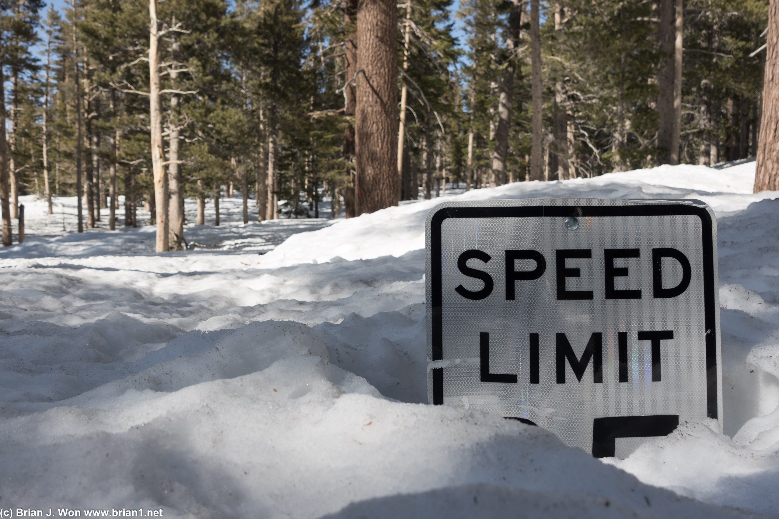 7 feet from ground to bottom of sign...