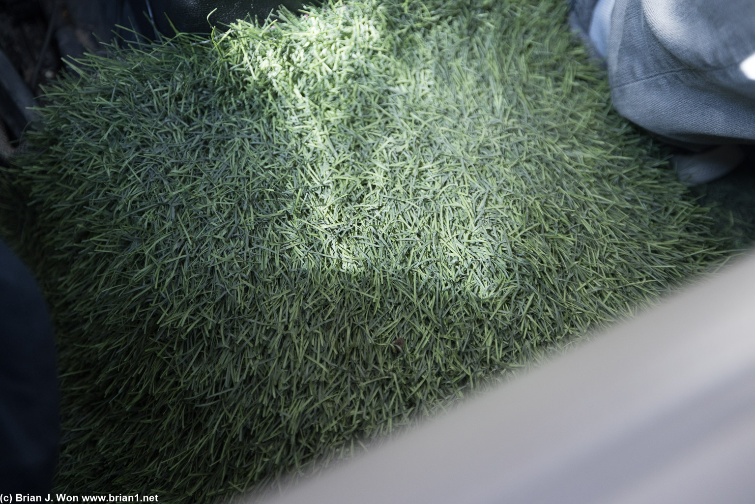 Fake grass for a floor mat in this taxi?