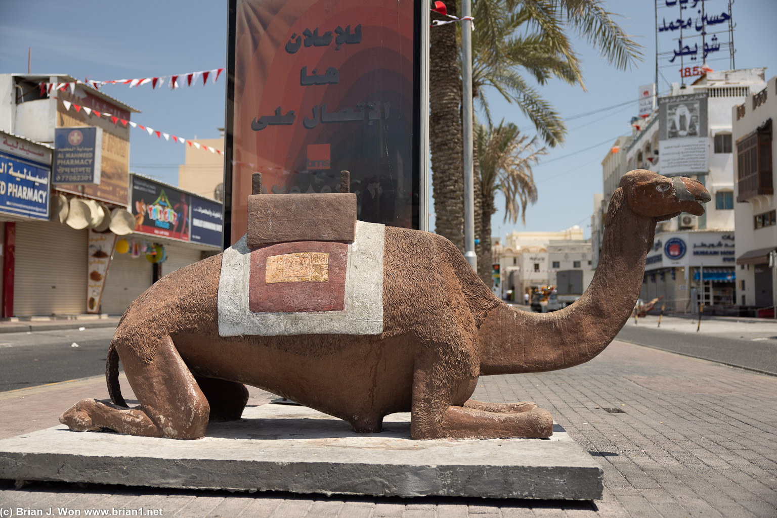 Random camel decorating the road.