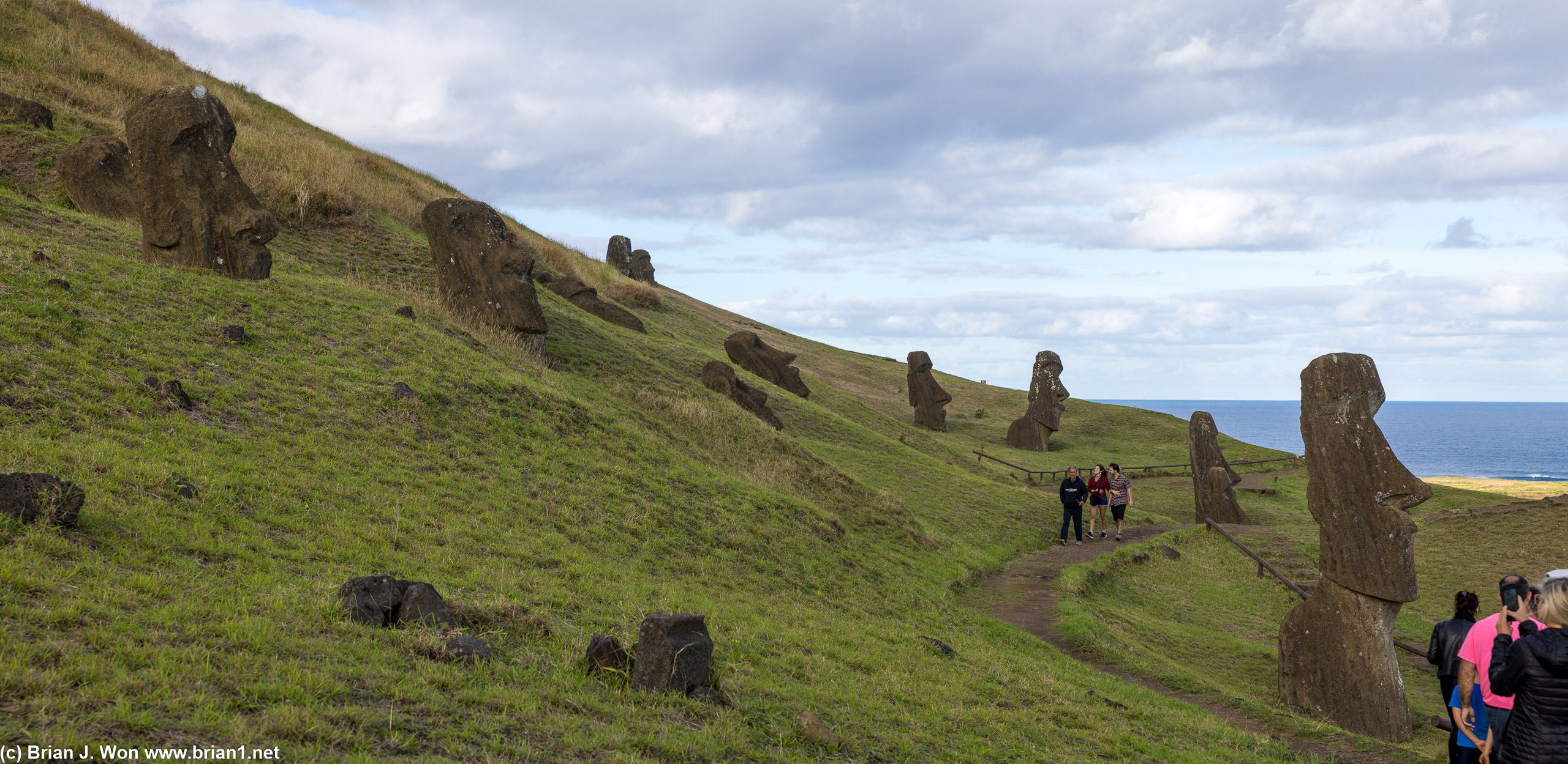 So. Many. Moai.