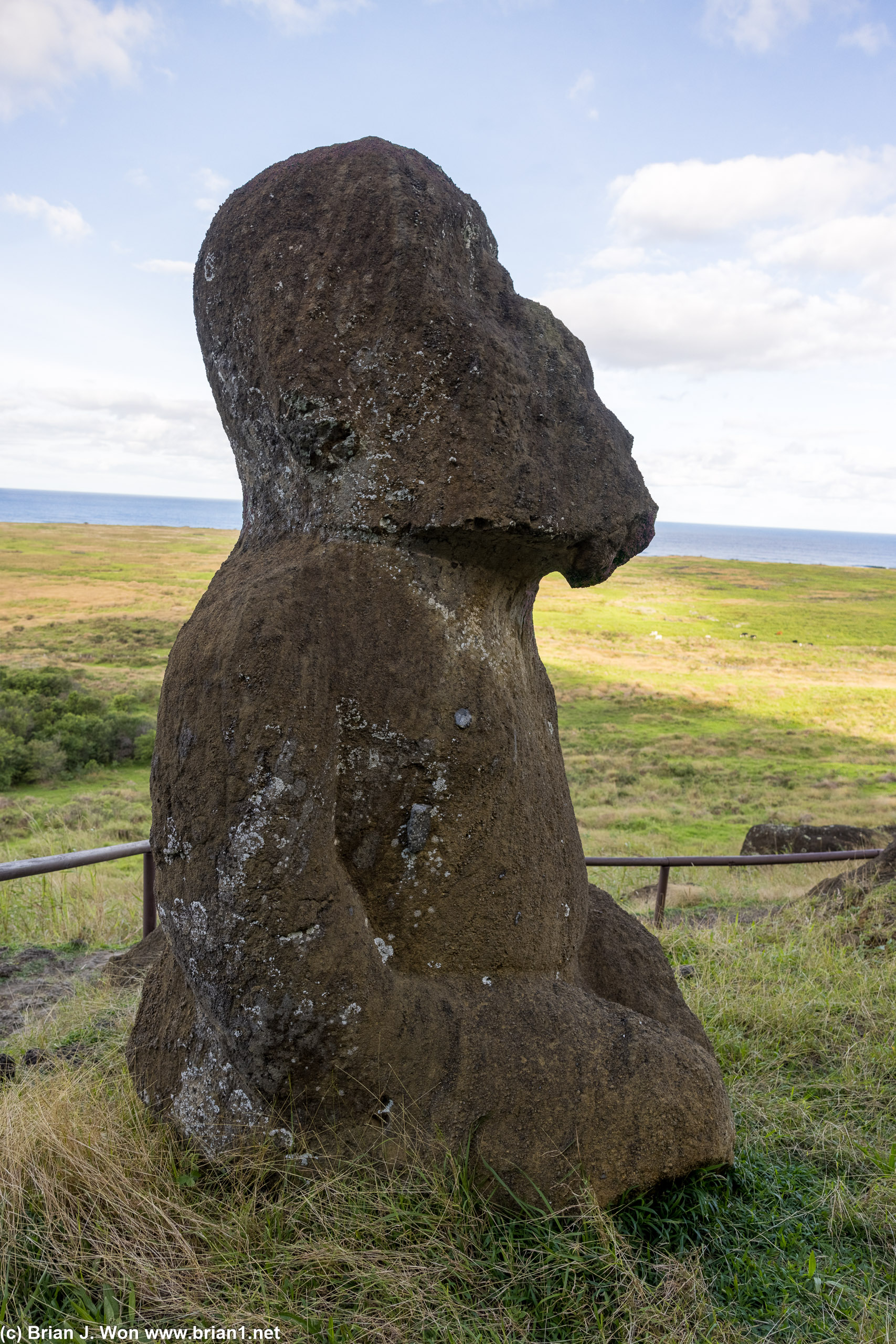 Unusually well preserved hands and arms on this moai.