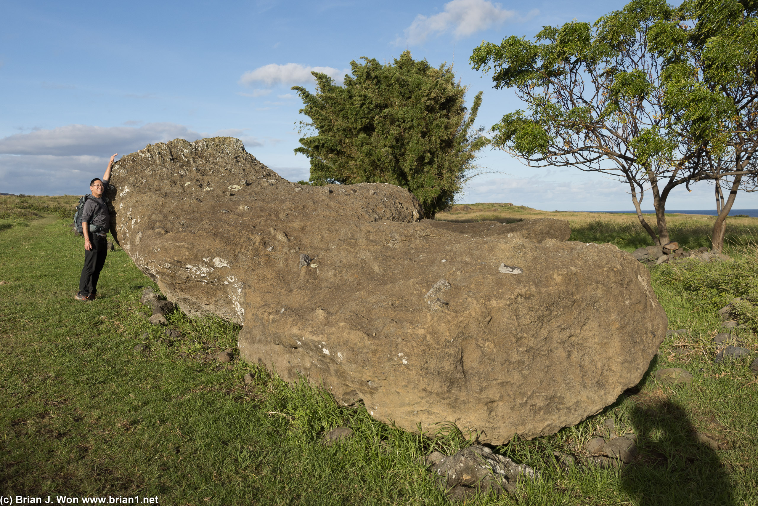 Fallen moai on Te Ara O Te Moai.