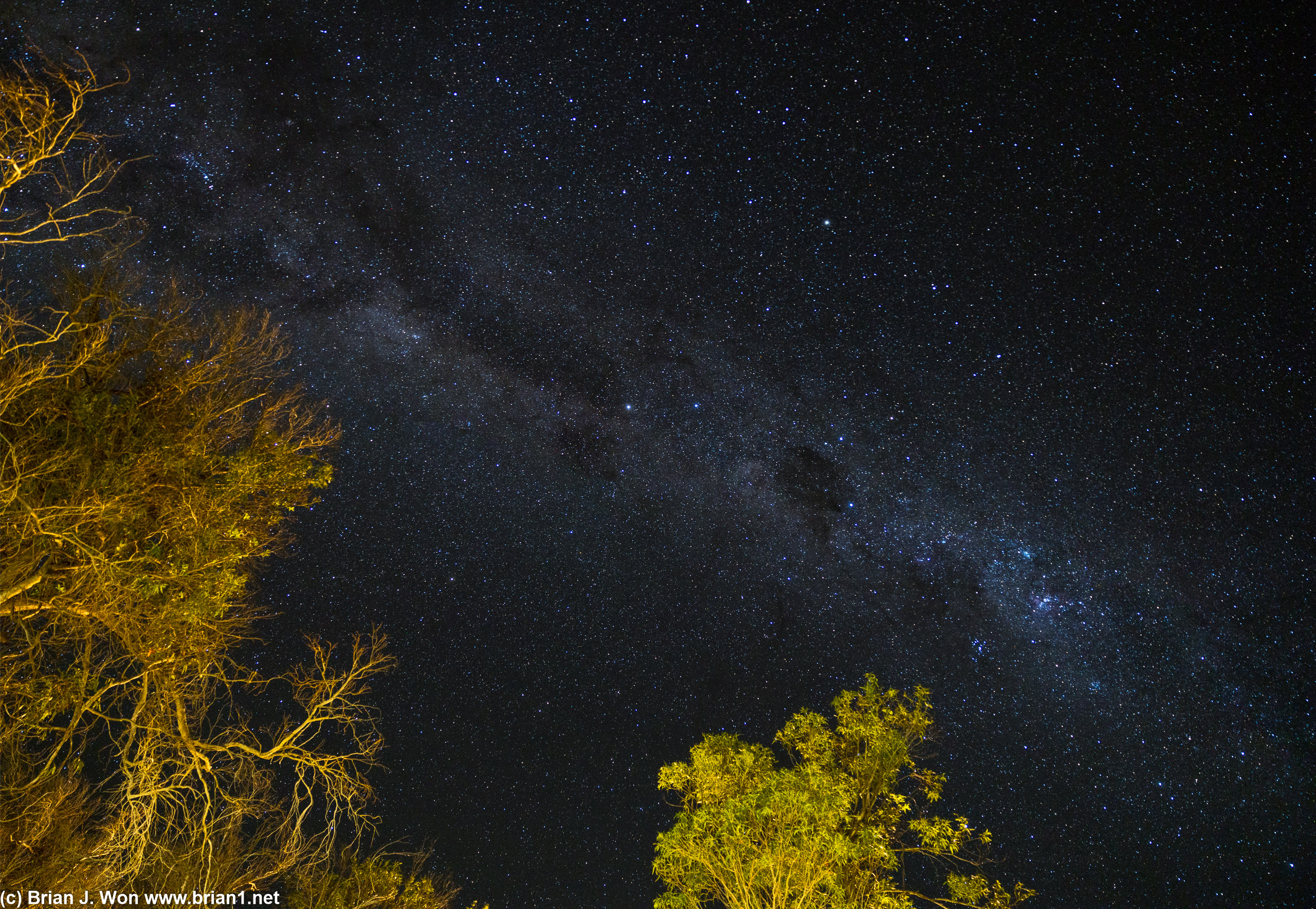 The galactic center visible over lights and trees of the hotel.