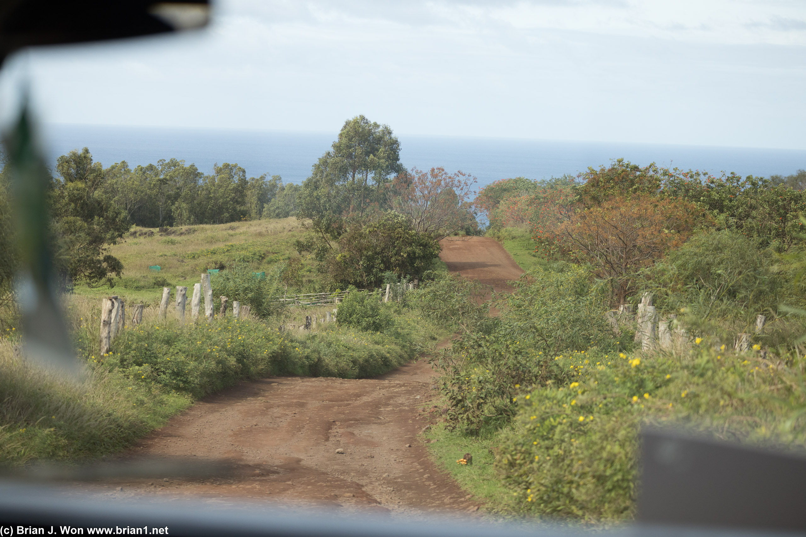 The road back to Explora Rapa Nui.