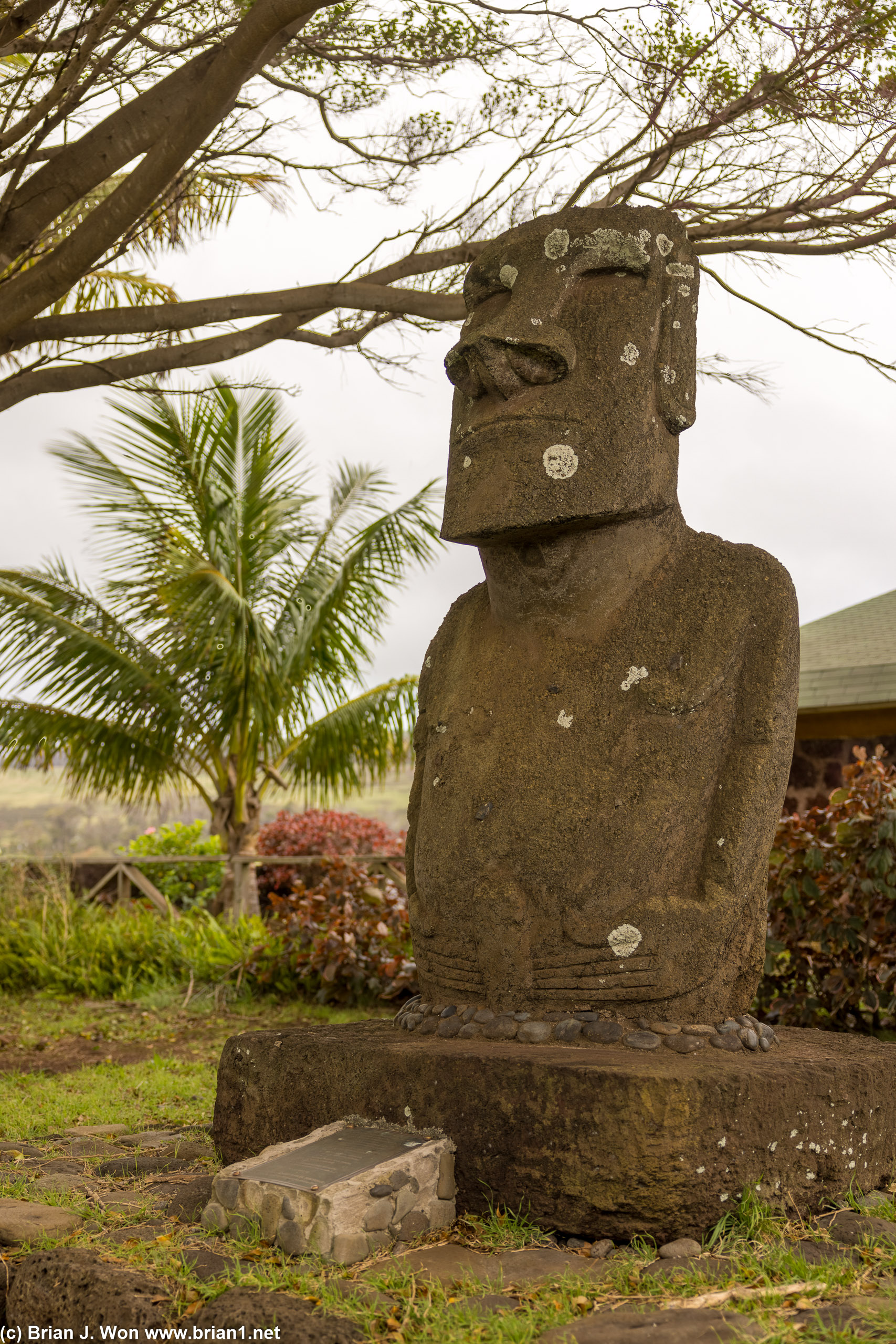 Moai at the airport, done by local sculptor Manuel Tuki in 1975.