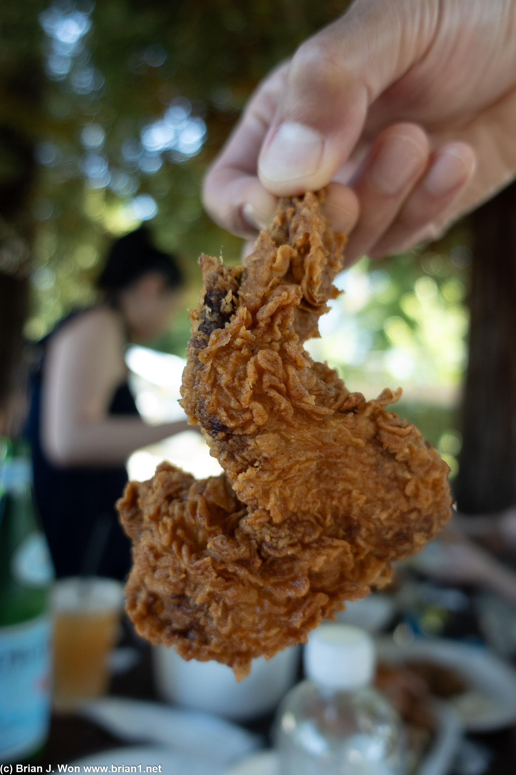Glamour shot of the fried chicken.