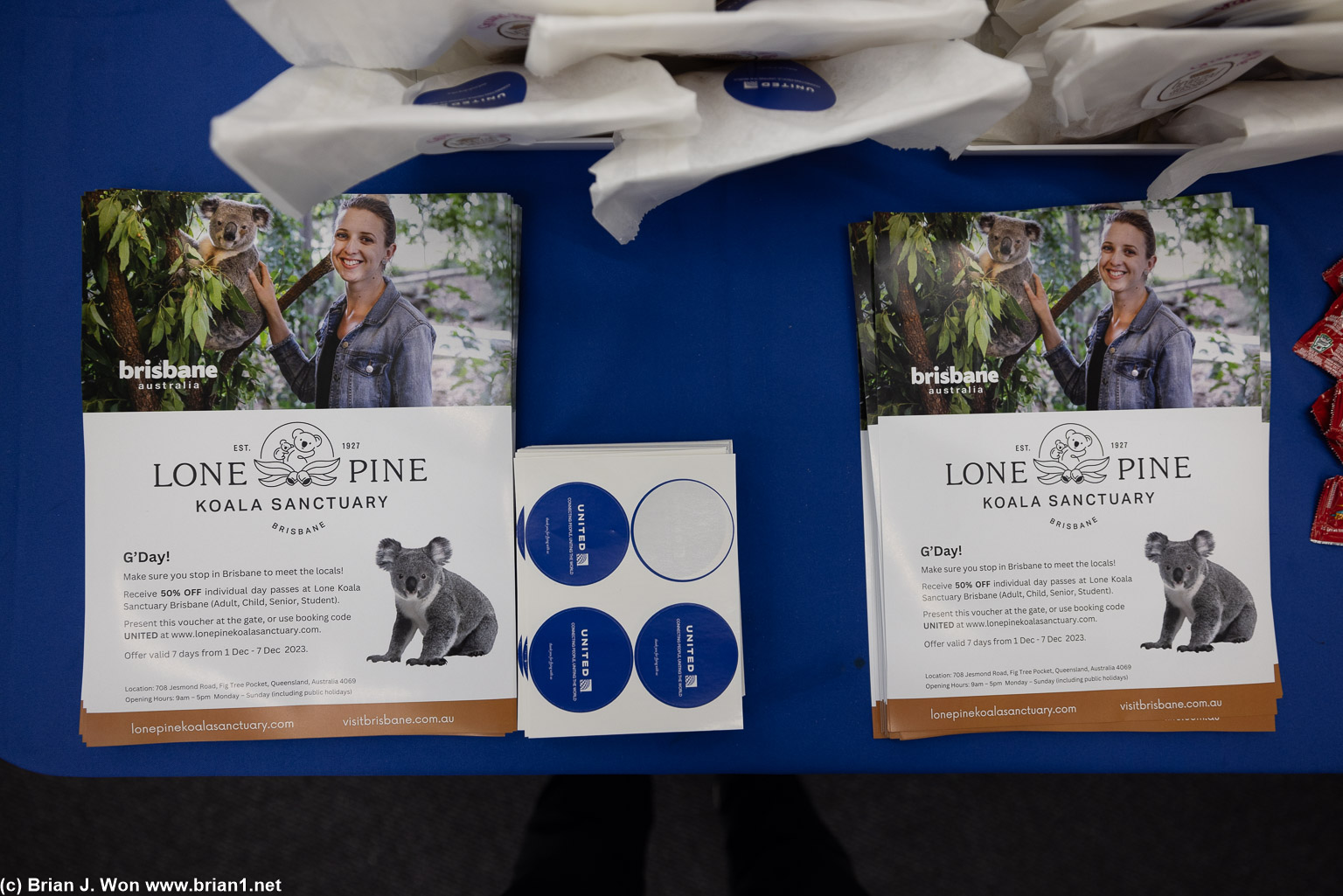 Lone Pine Koala Sanctuary being promoted, too.