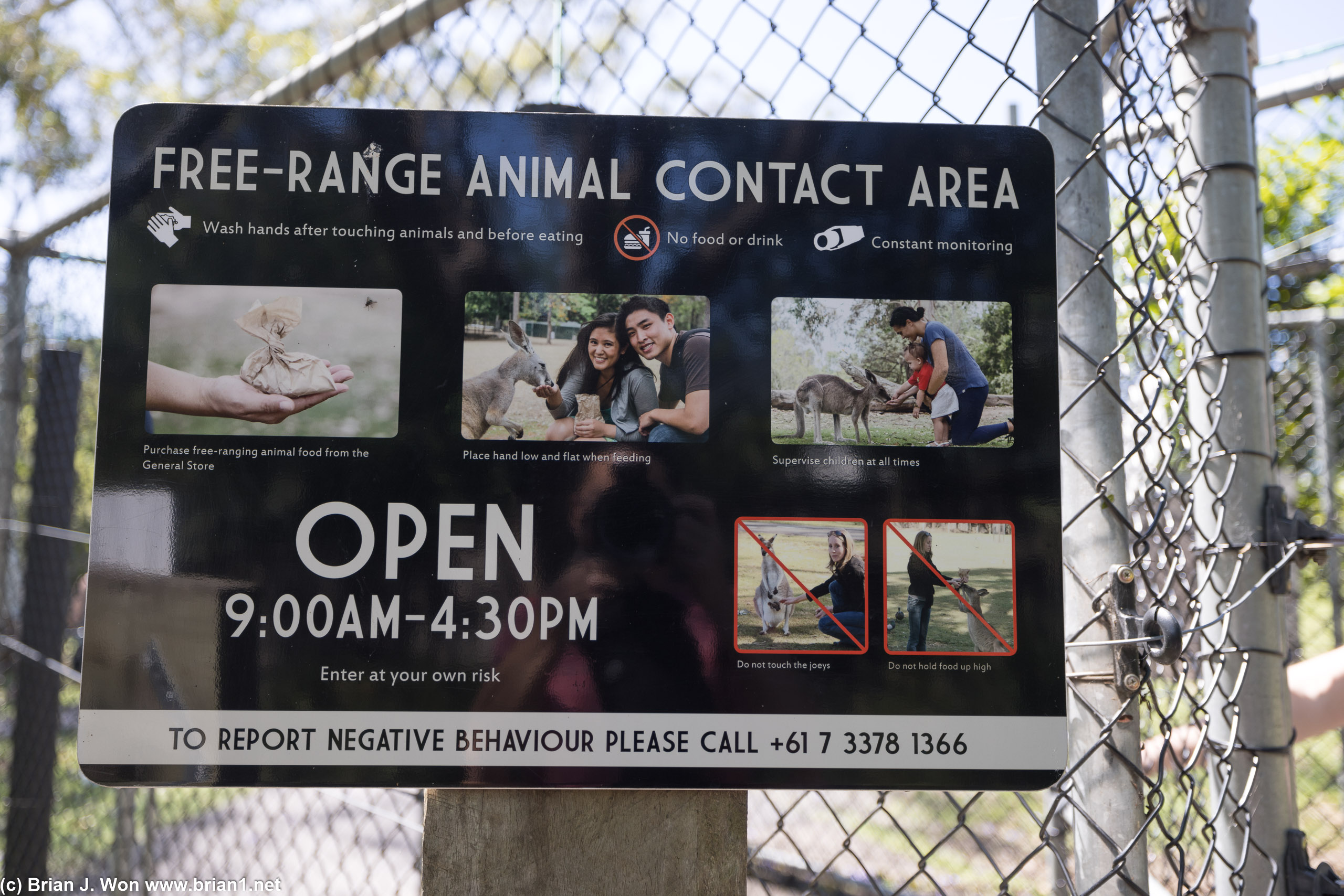 Lone Pine Koala Sanctuary warnings.