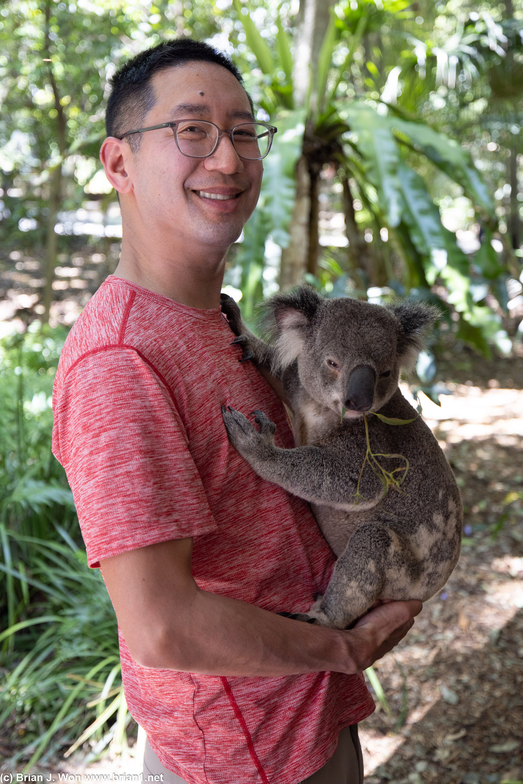 Holding Baron the koala.