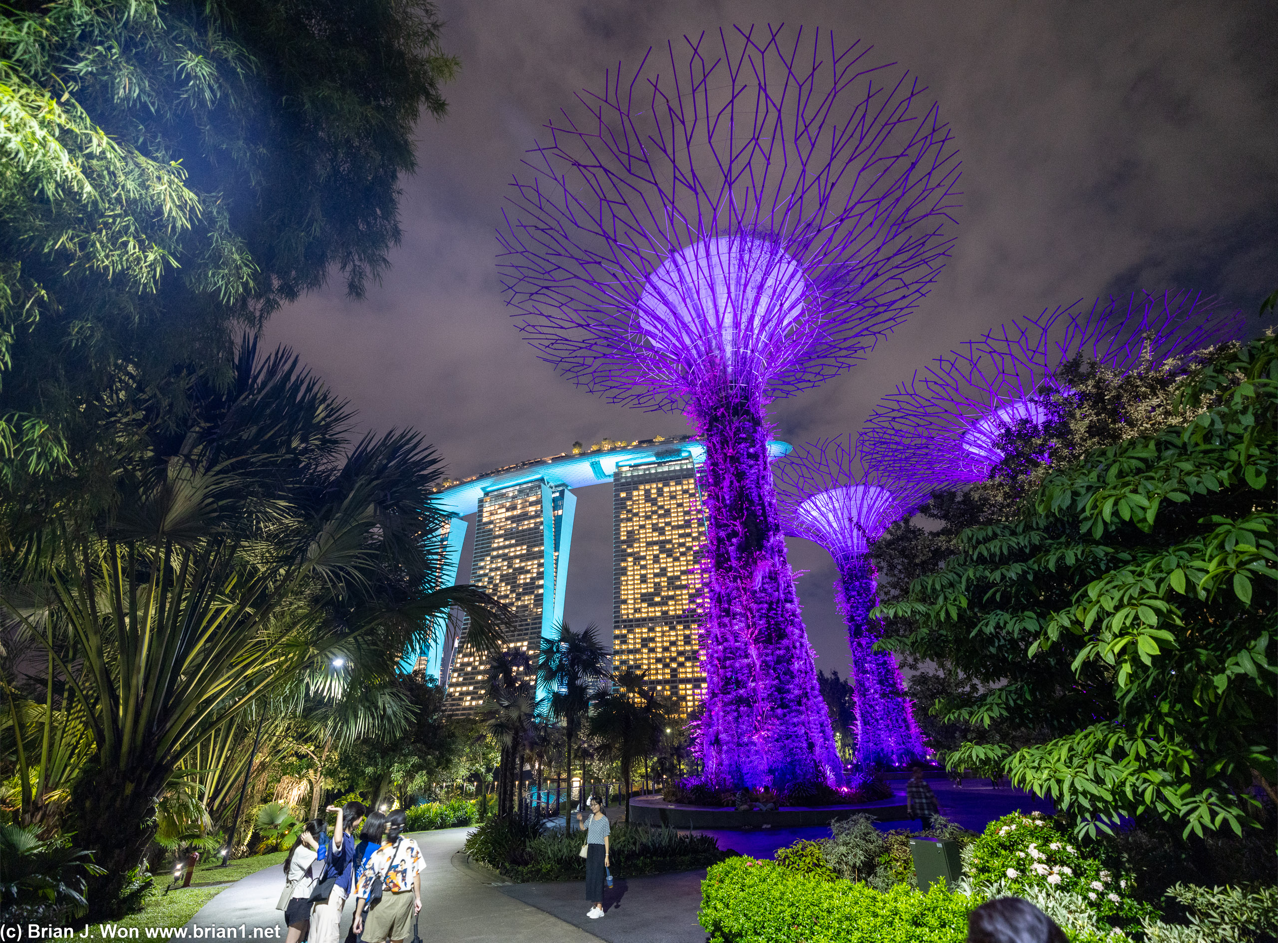 Gardens by the Bay with Marina Bay Sands in the background.