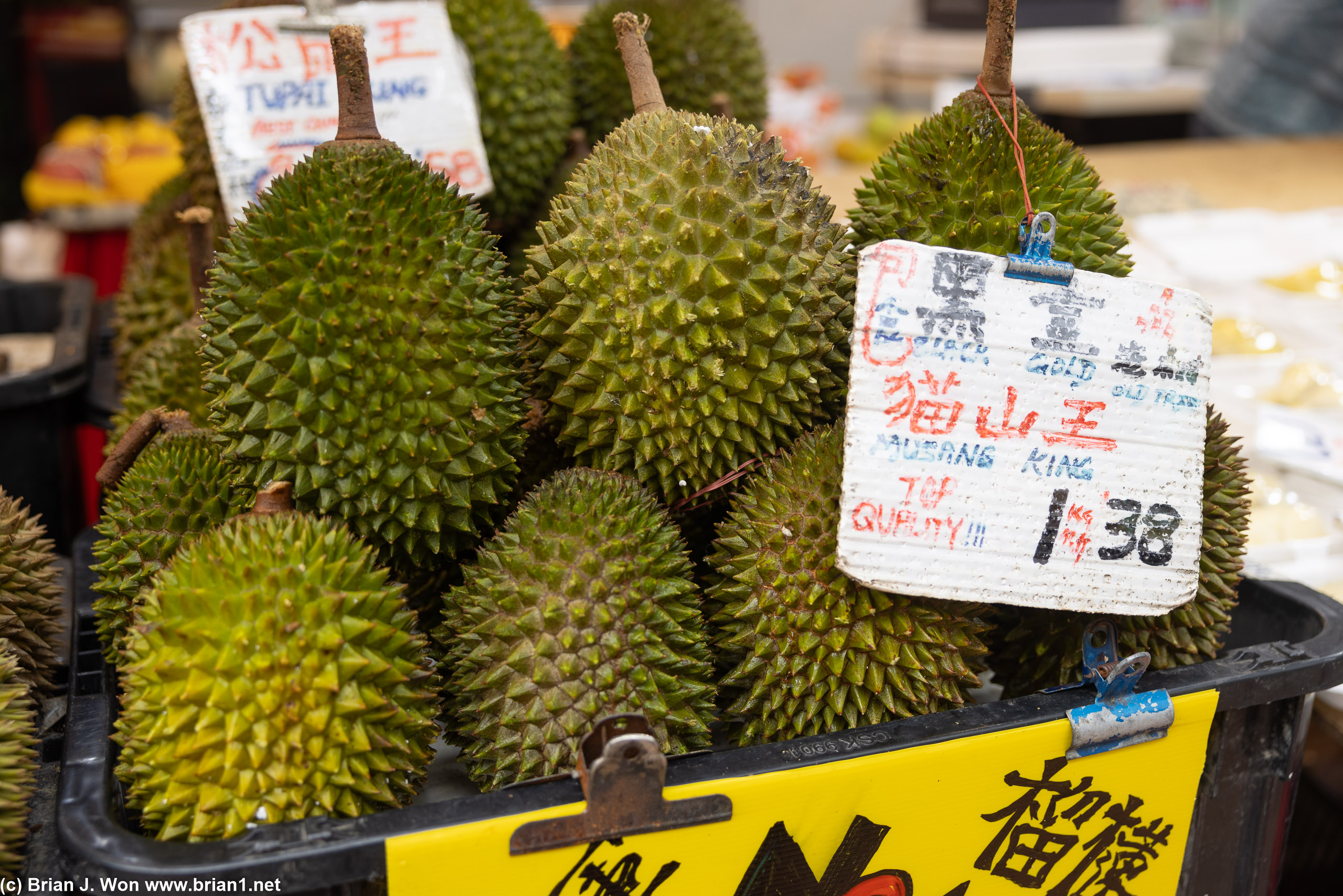 Musang King durian.