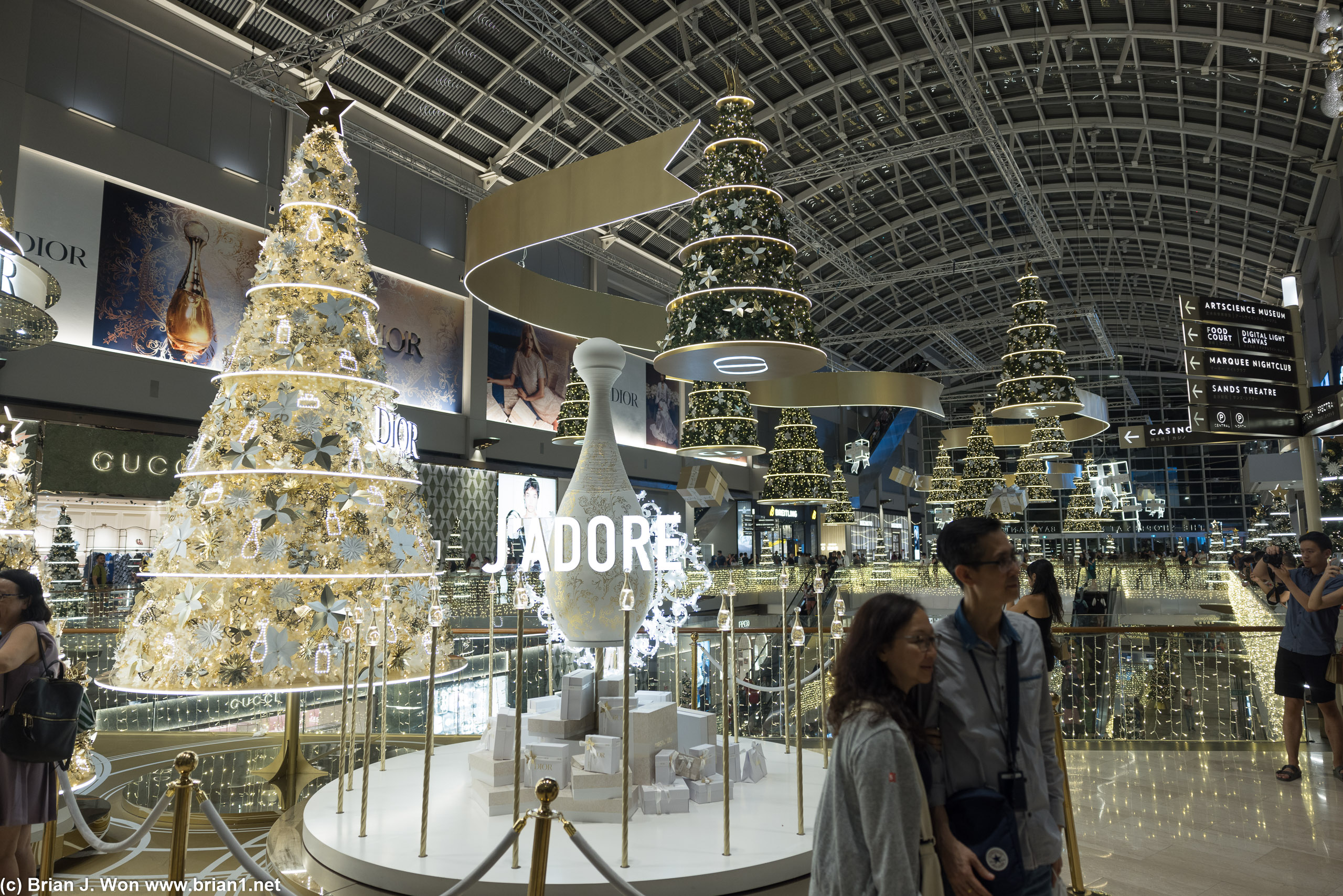 The Shoppes at Marina Bay Sands' Christmas display.